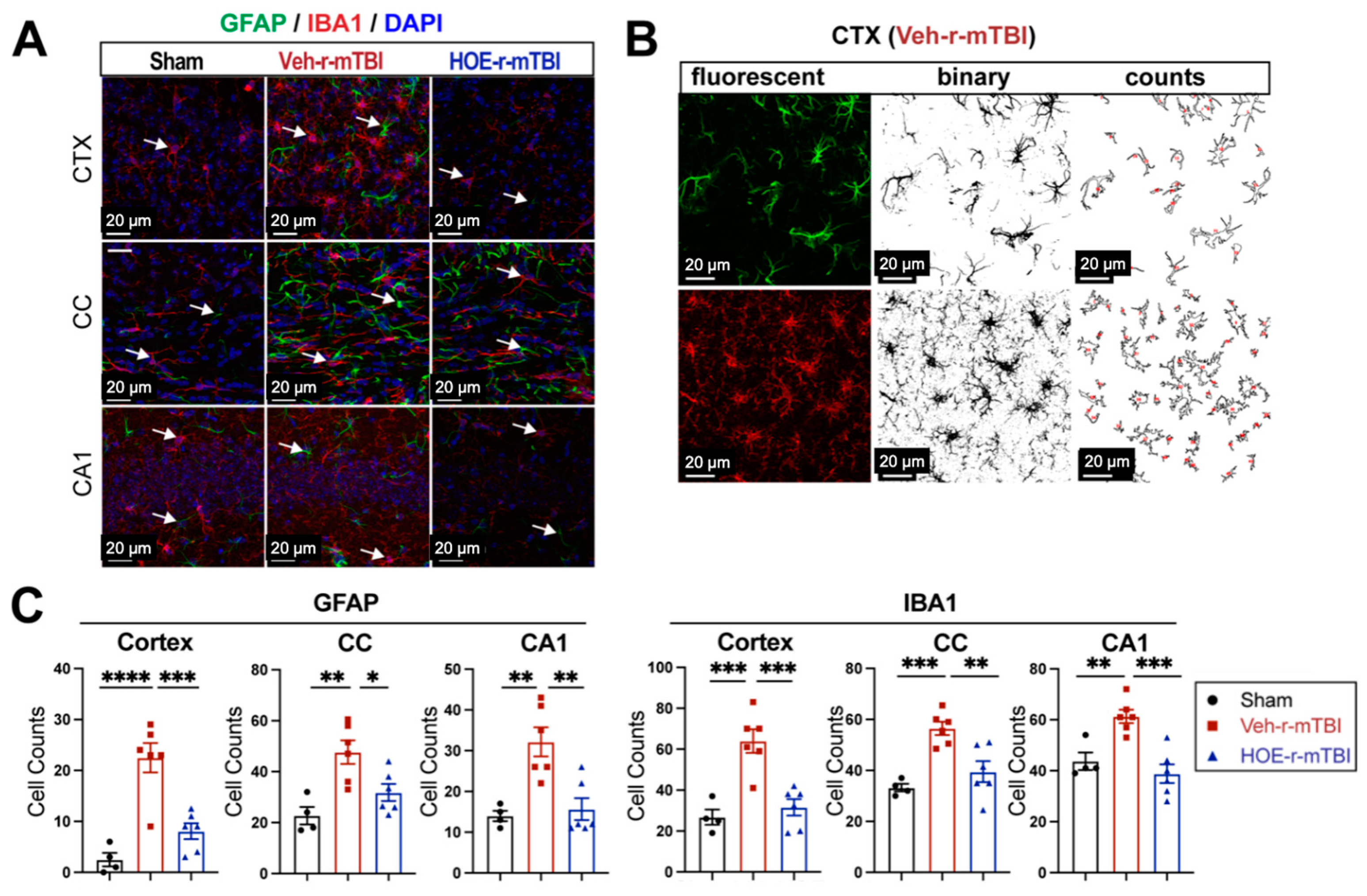 Antioxidants 13 00836 g005