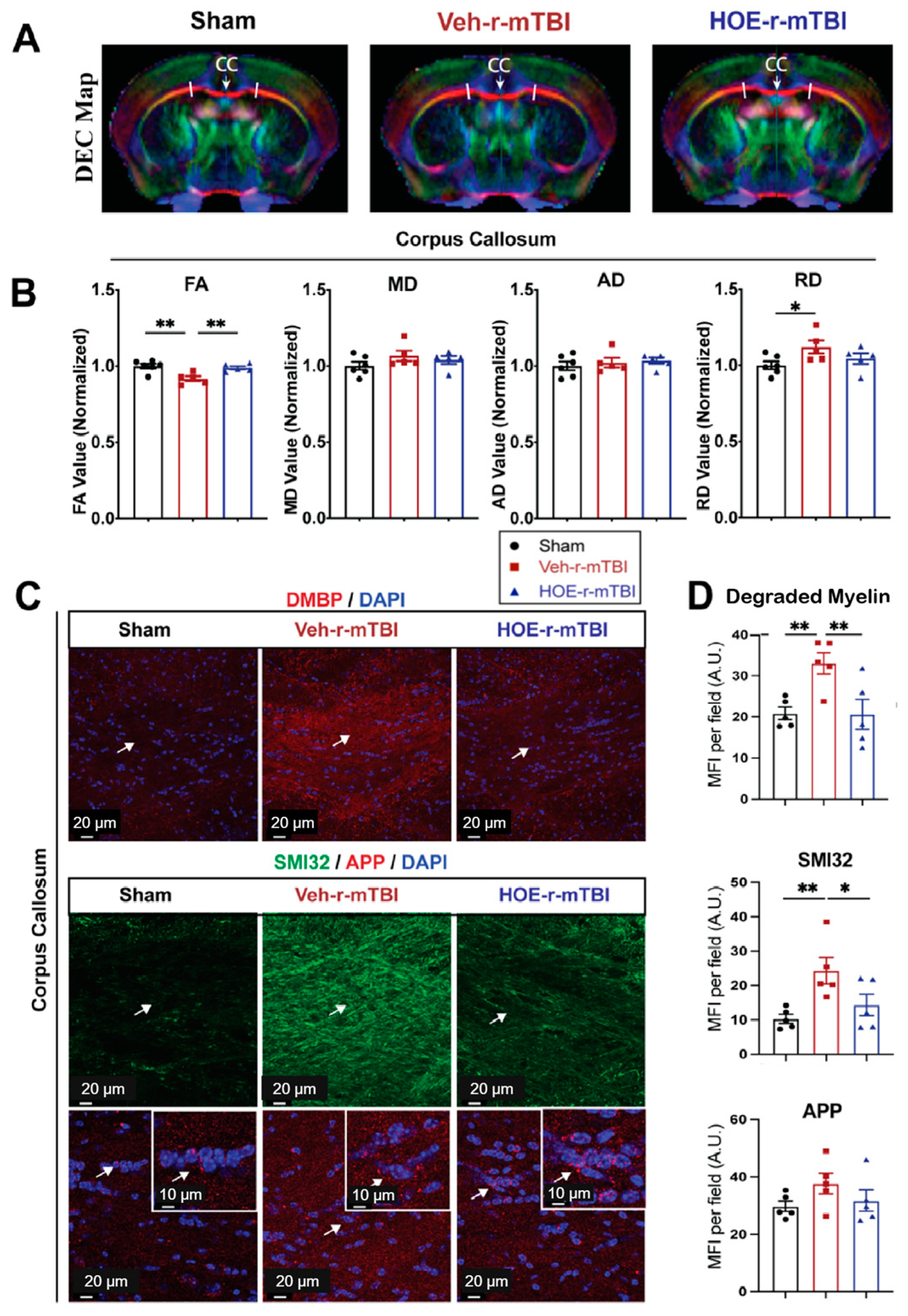 Antioxidants 13 00836 g007