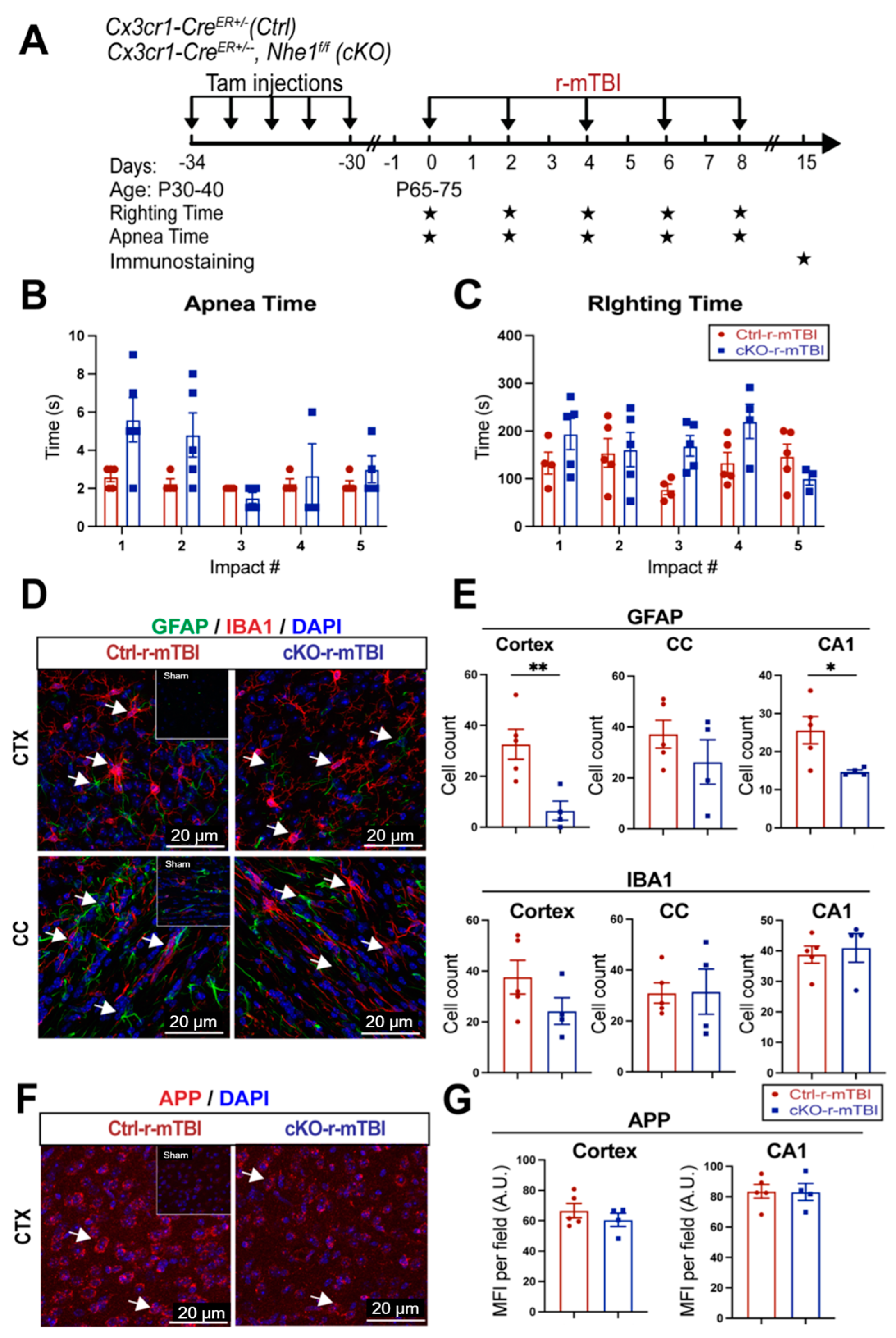 Antioxidants 13 00836 g008
