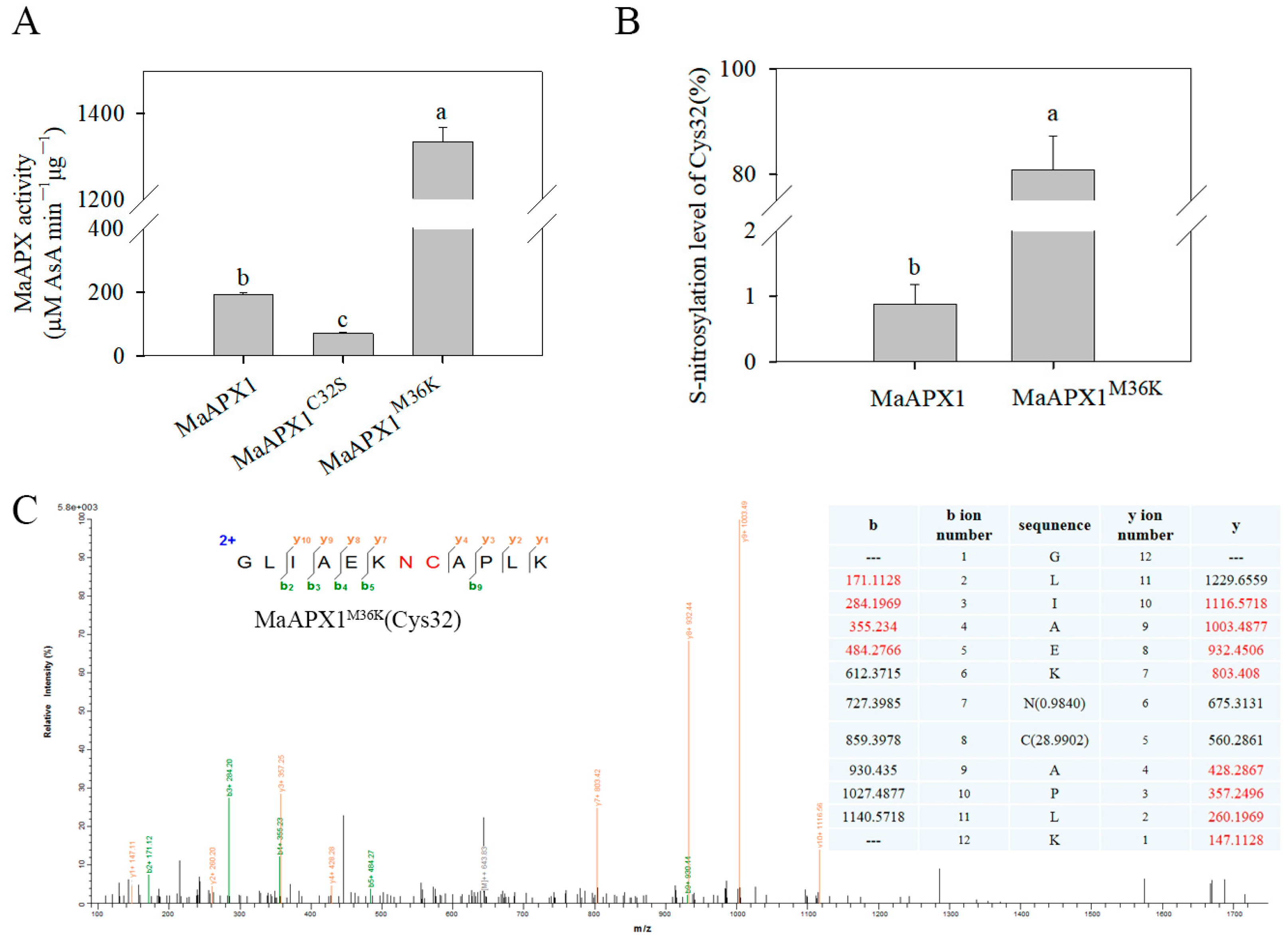 Antioxidants 13 00843 g004