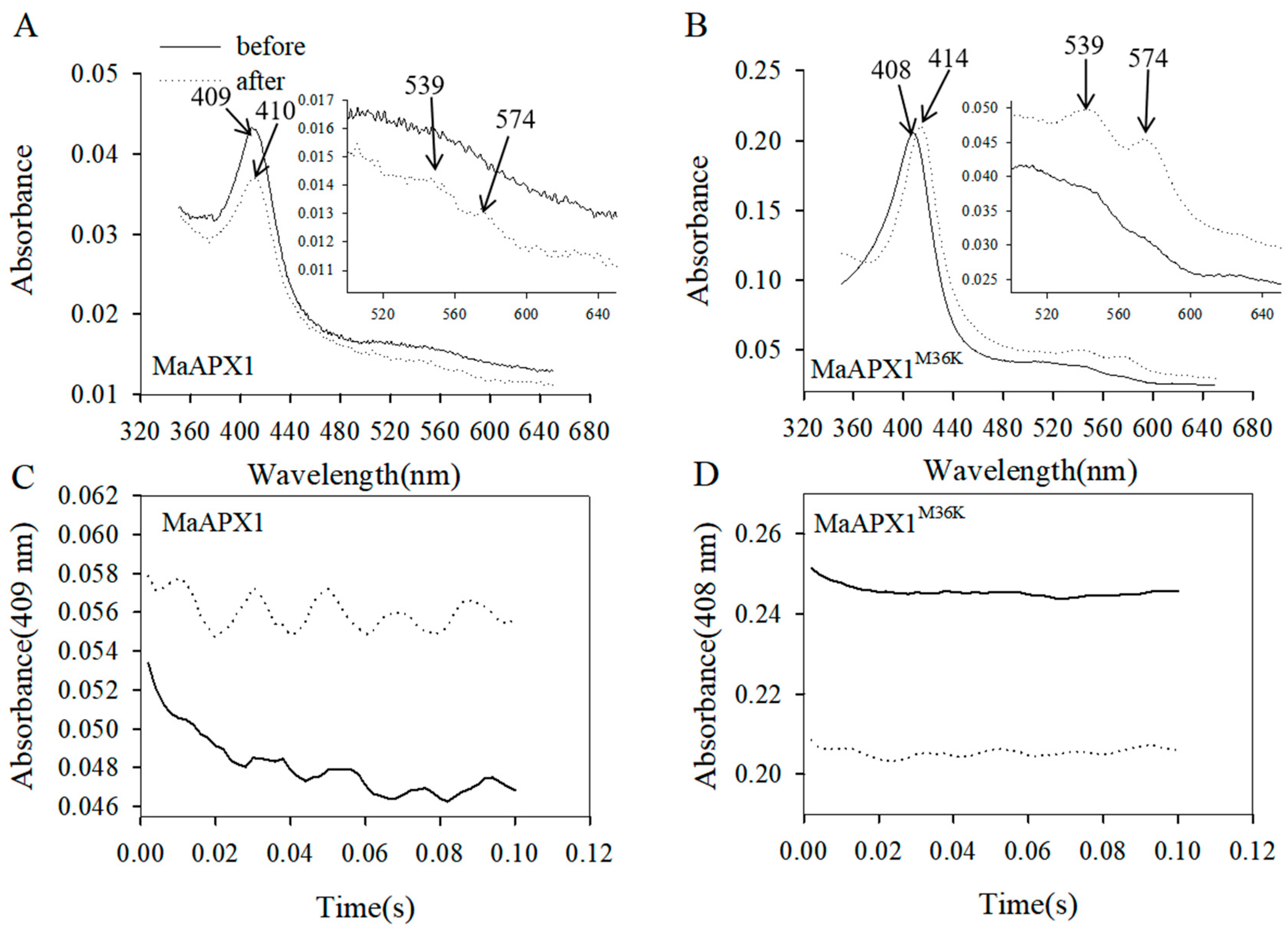 Antioxidants 13 00843 g005