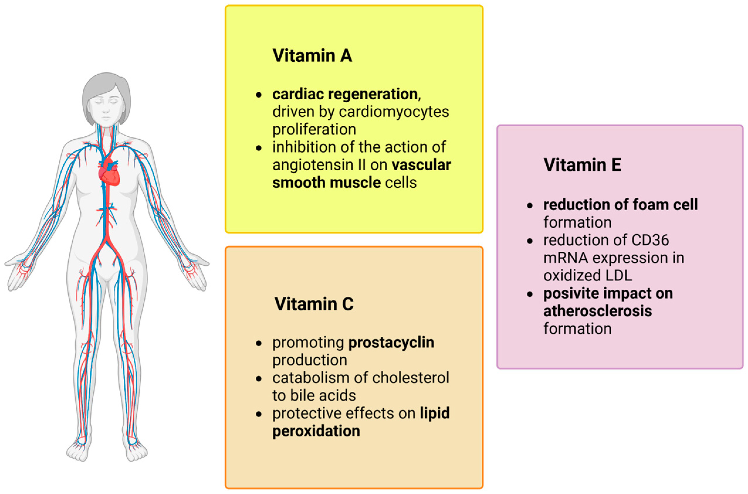 Antioxidants 13 00848 g002 Antioxidants 13 00848 g002
