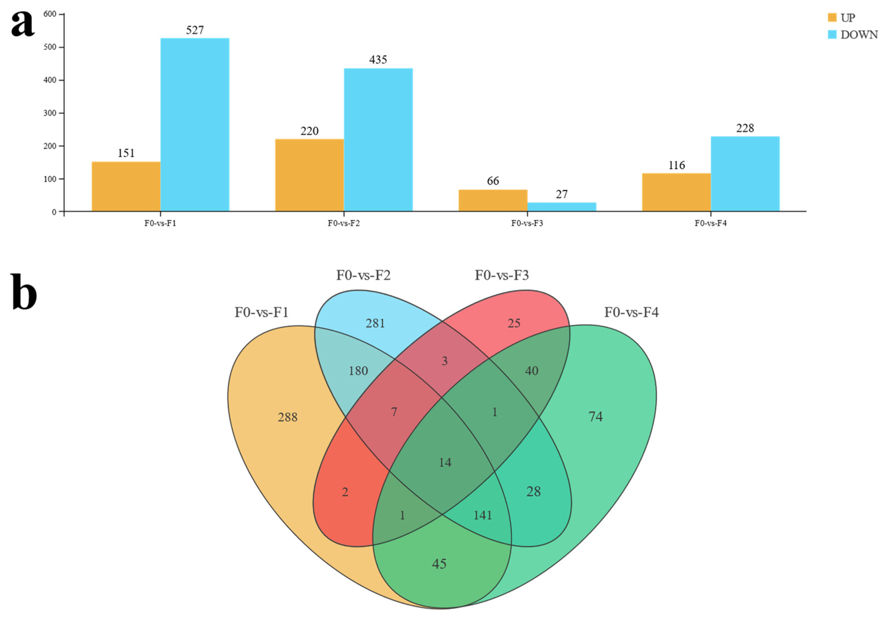Antioxidants 13 00851 g004