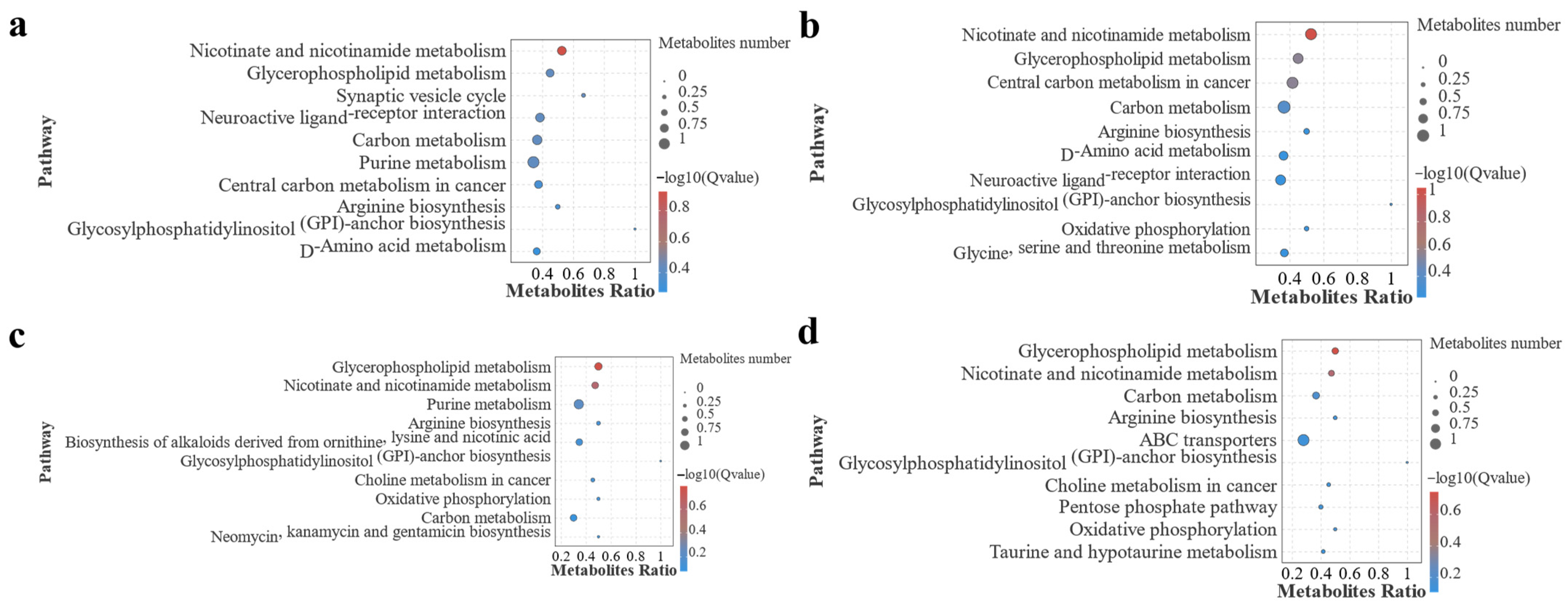 Antioxidants 13 00851 g011
