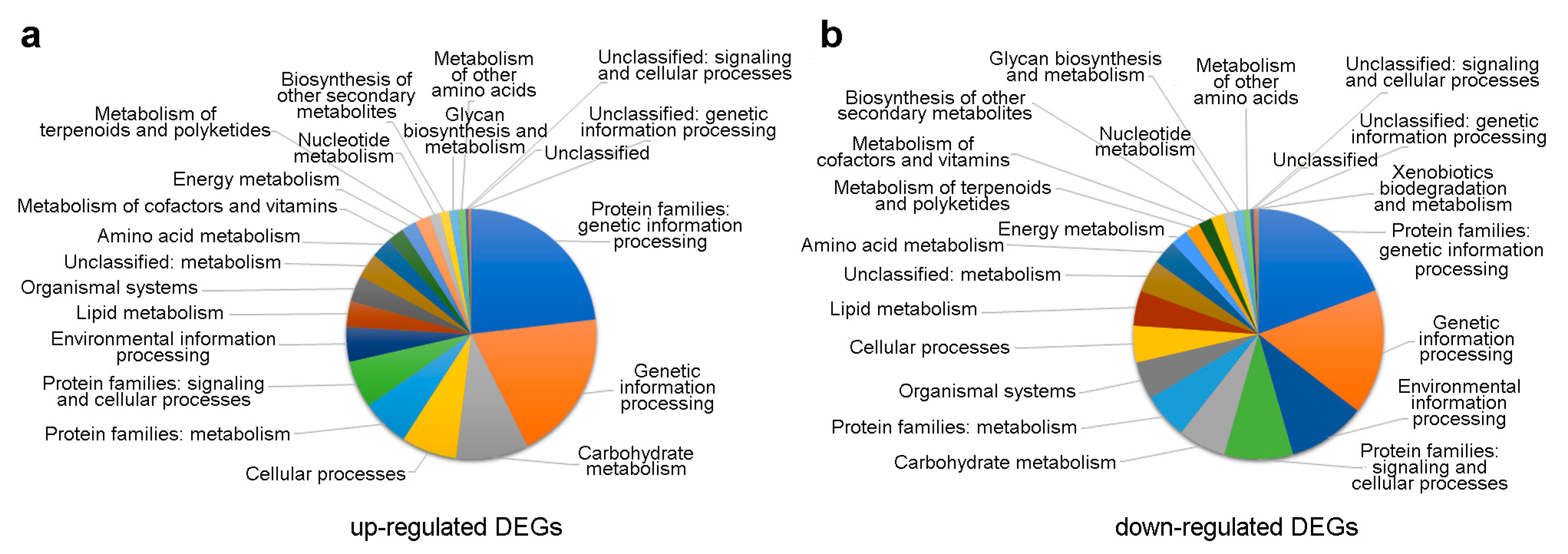 Antioxidants 13 00852 g002