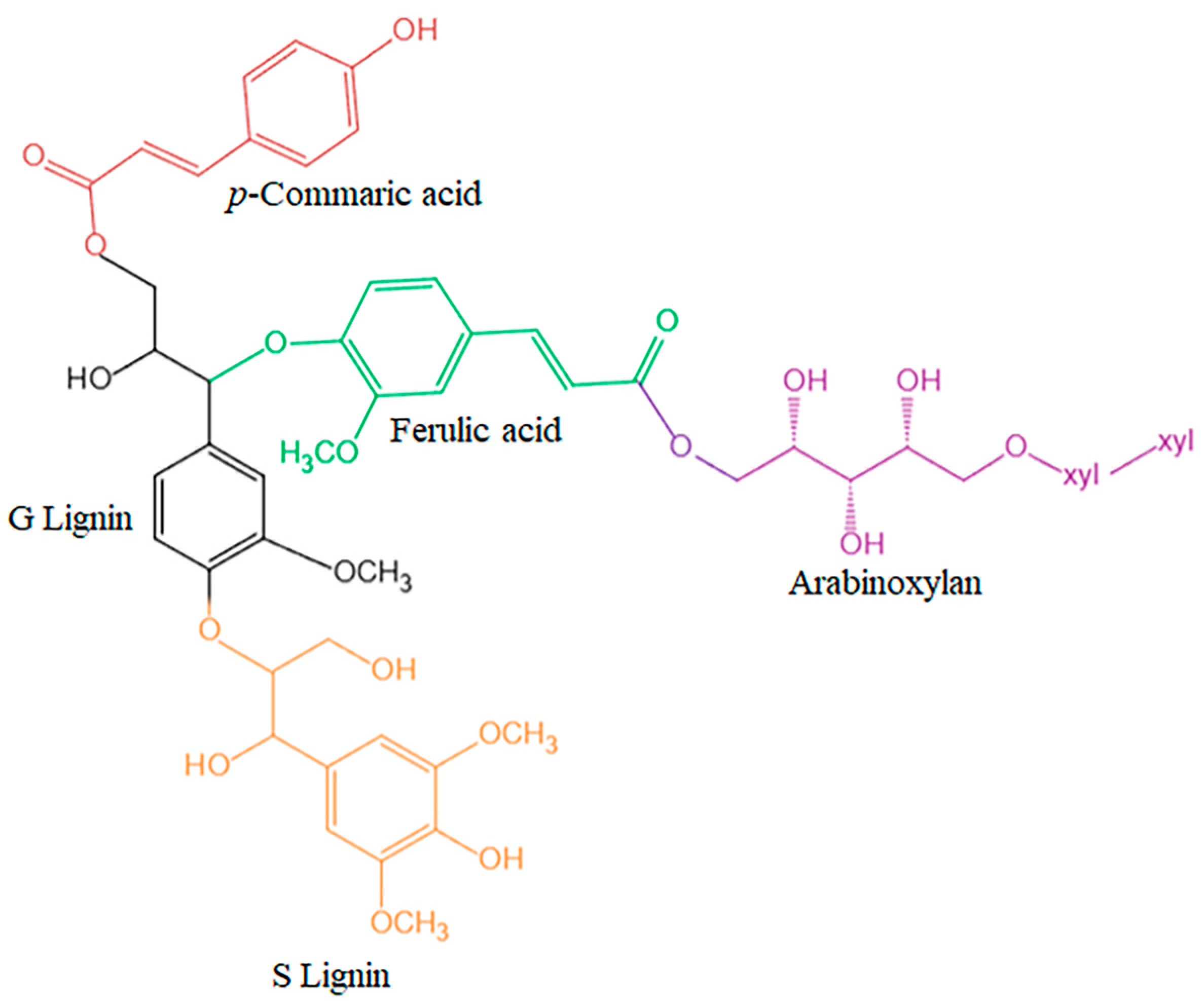 Antioxidants 13 00853 g002