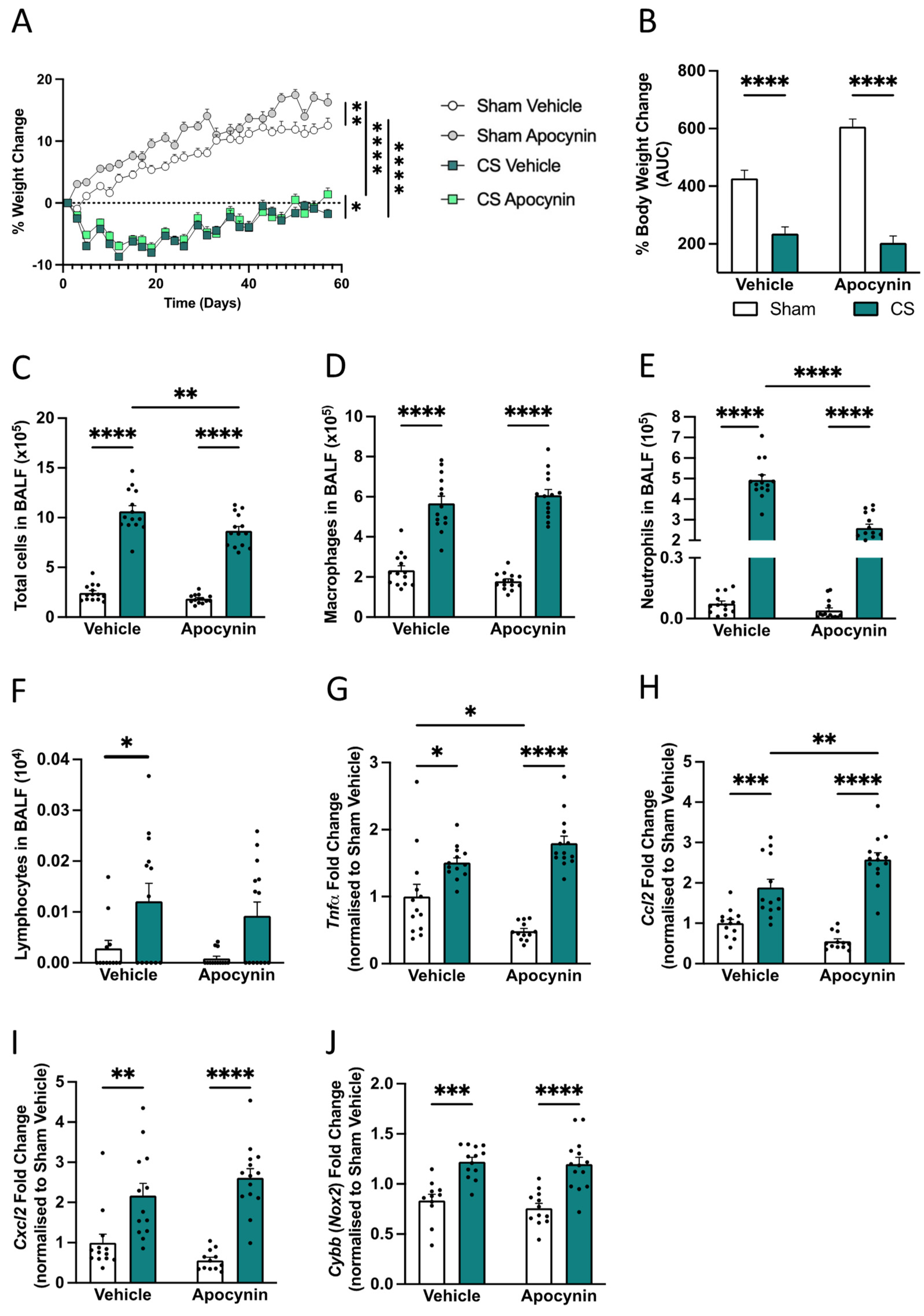 Antioxidants 13 00855 g002