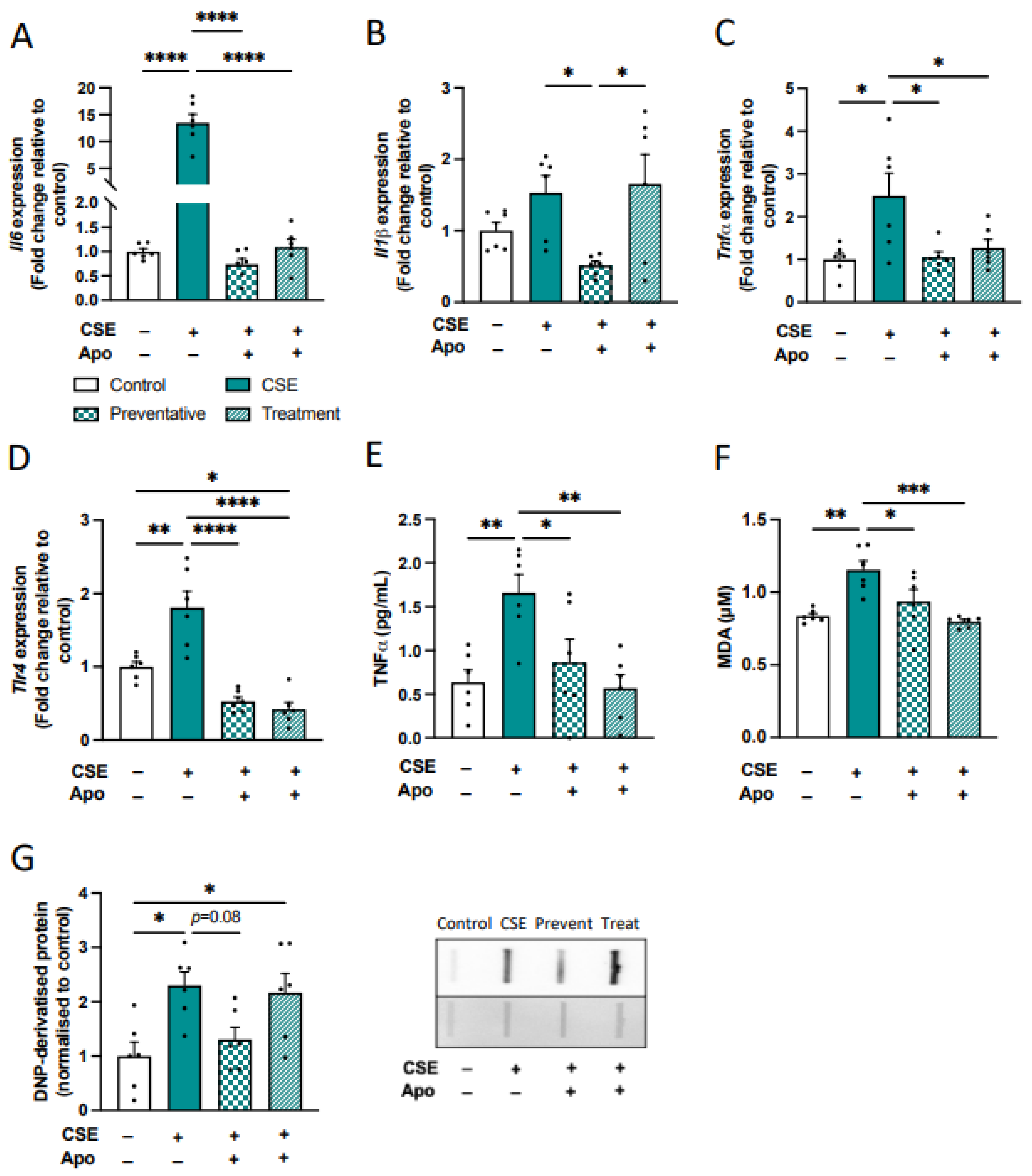 Antioxidants 13 00855 g011