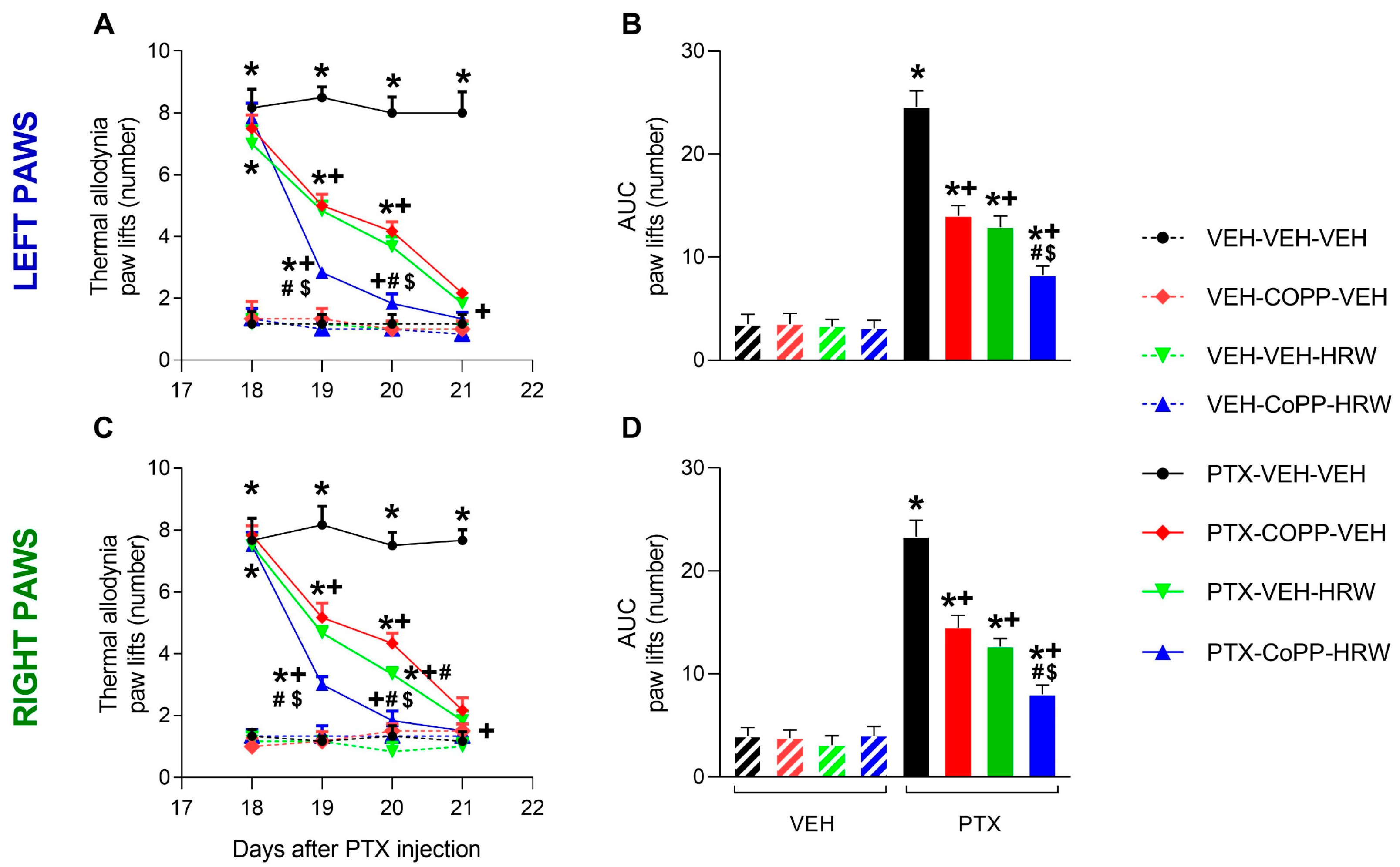 Antioxidants 13 00856 g003