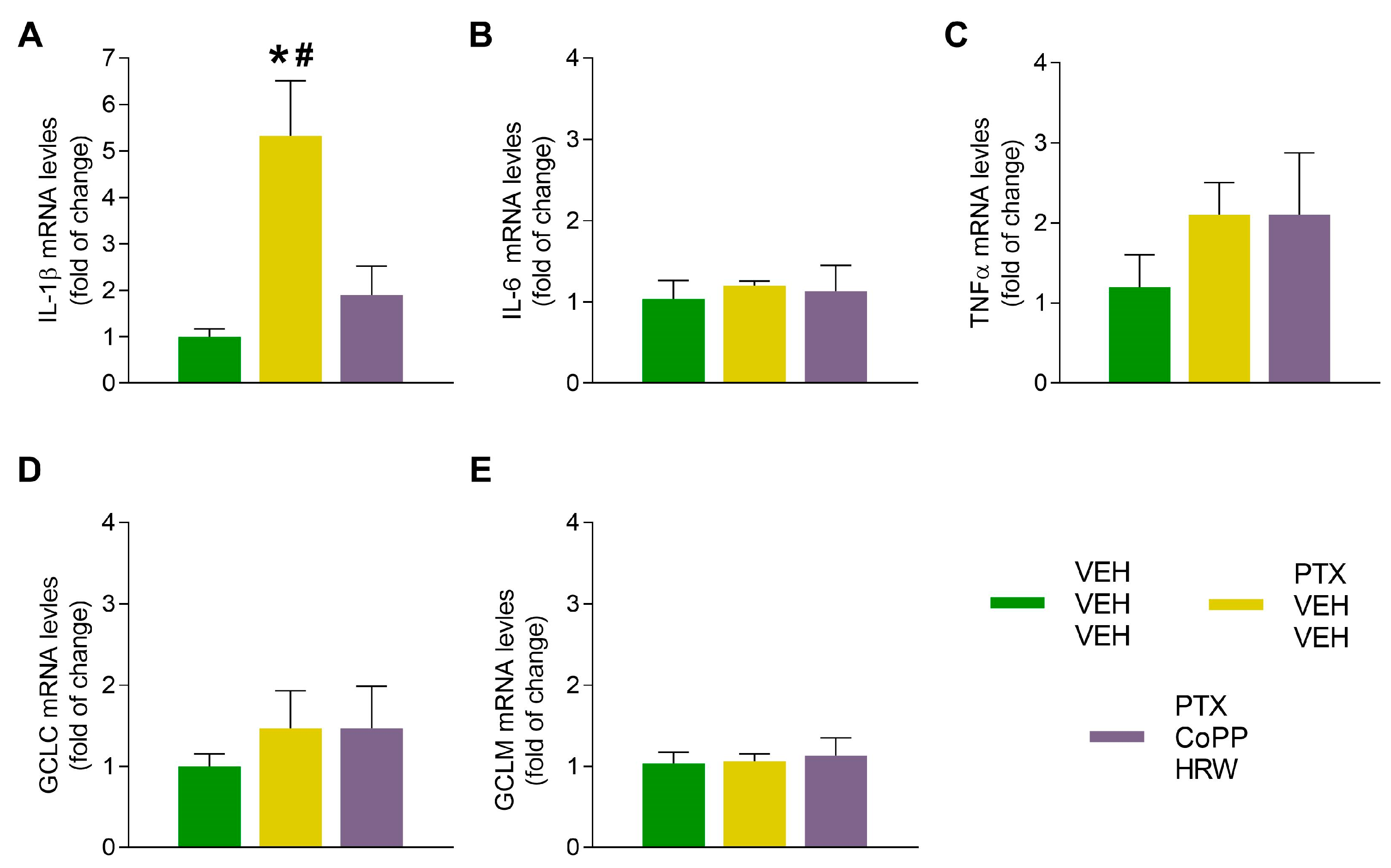 Antioxidants 13 00856 g008