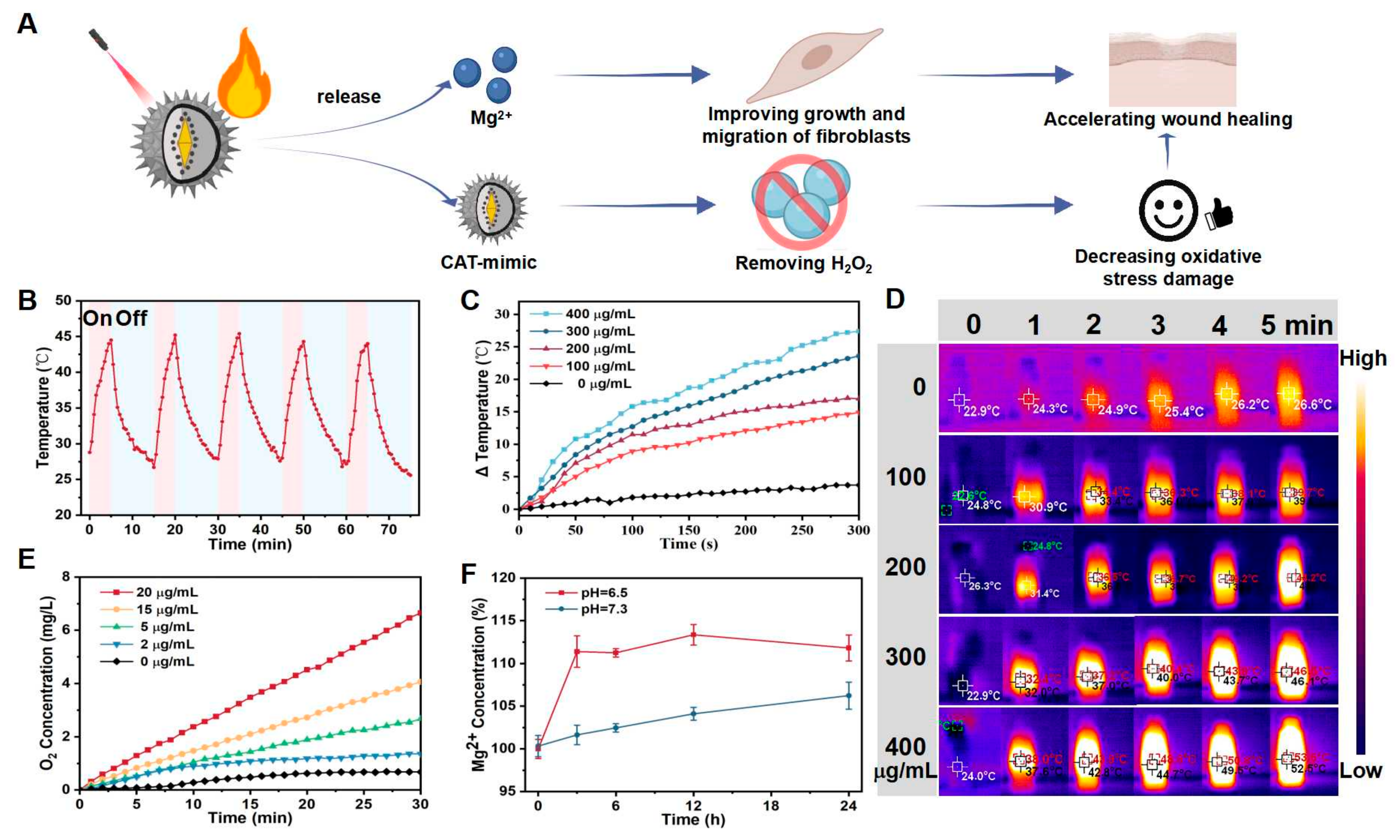 Antioxidants 13 00857 g002