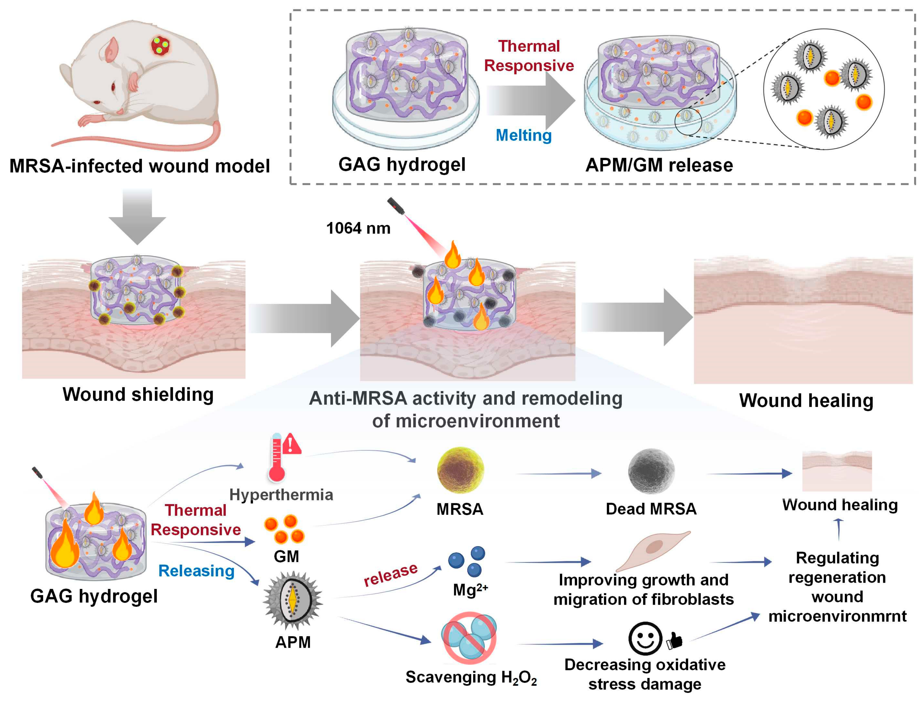 Antioxidants 13 00857 sch001