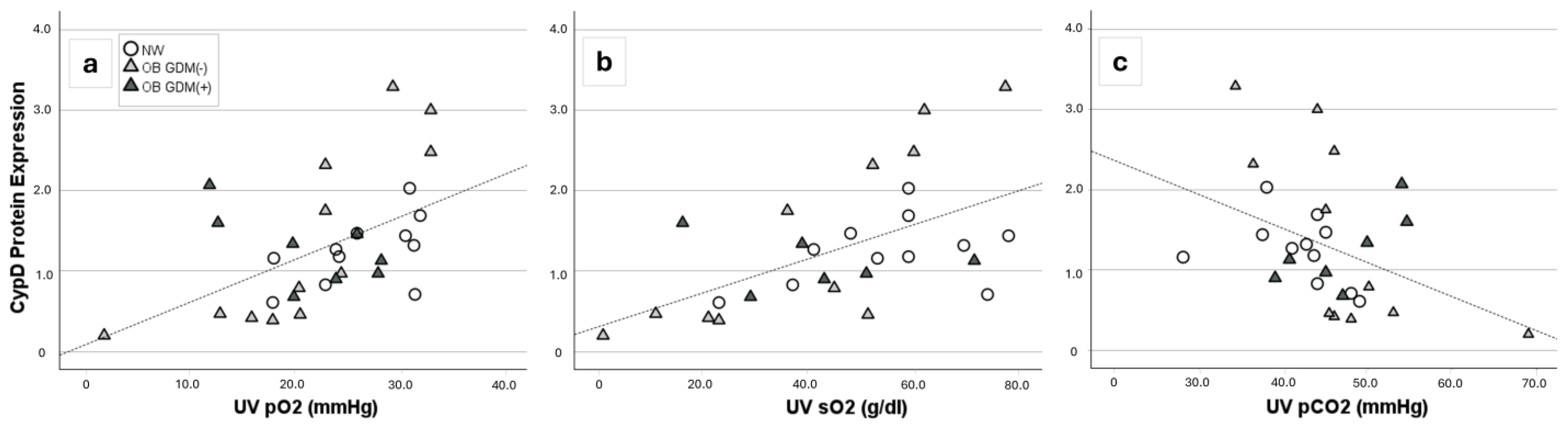 Antioxidants 13 00858 g002