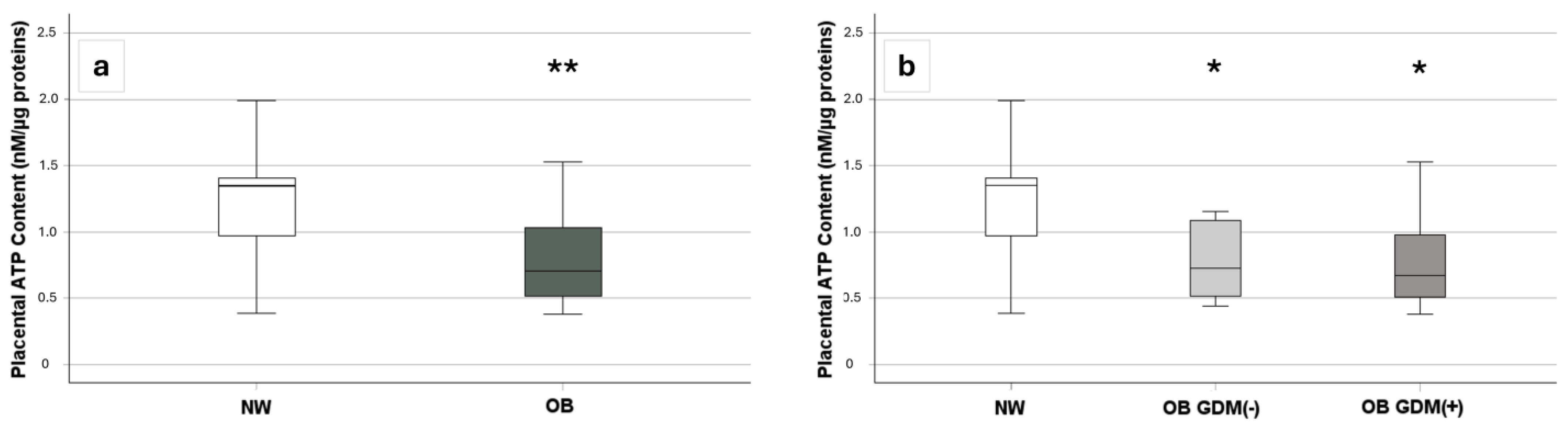 Antioxidants 13 00858 g004