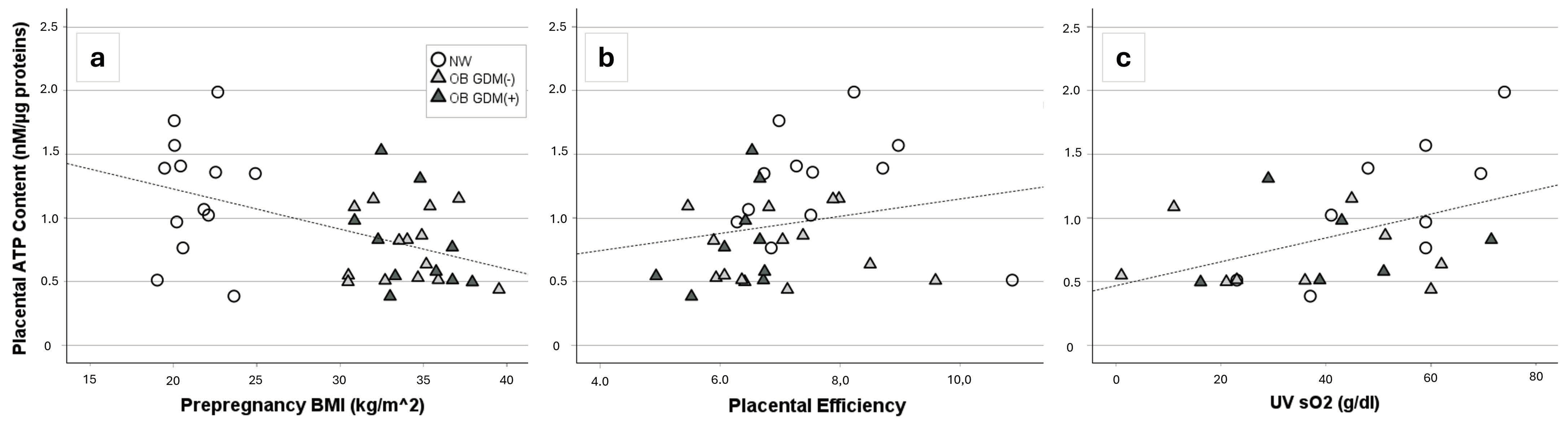Antioxidants 13 00858 g005