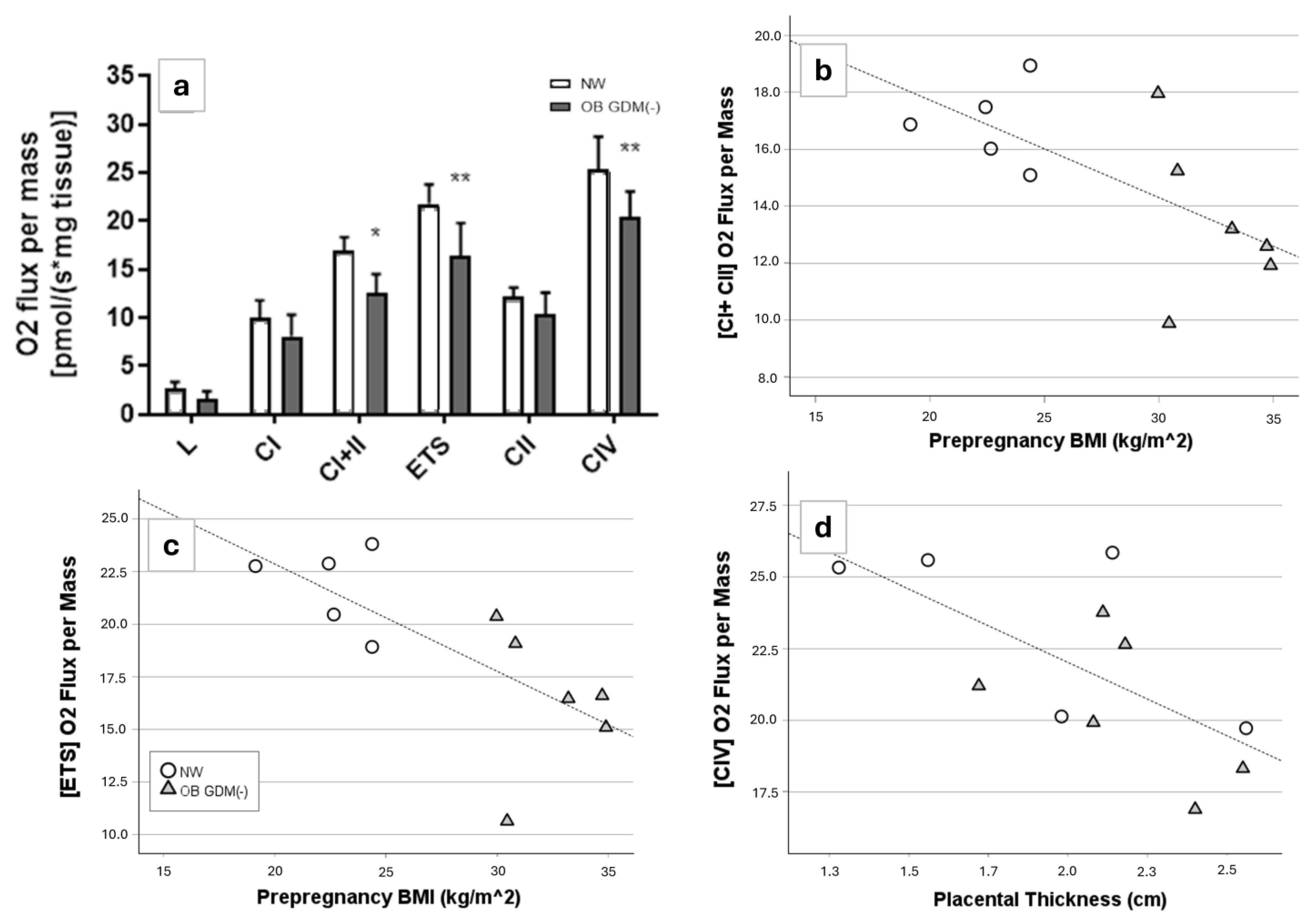 Antioxidants 13 00858 g006