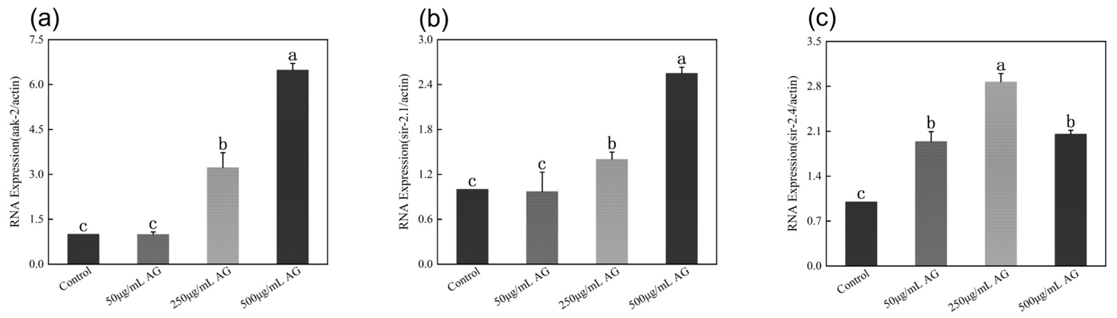 Antioxidants 13 00859 g008