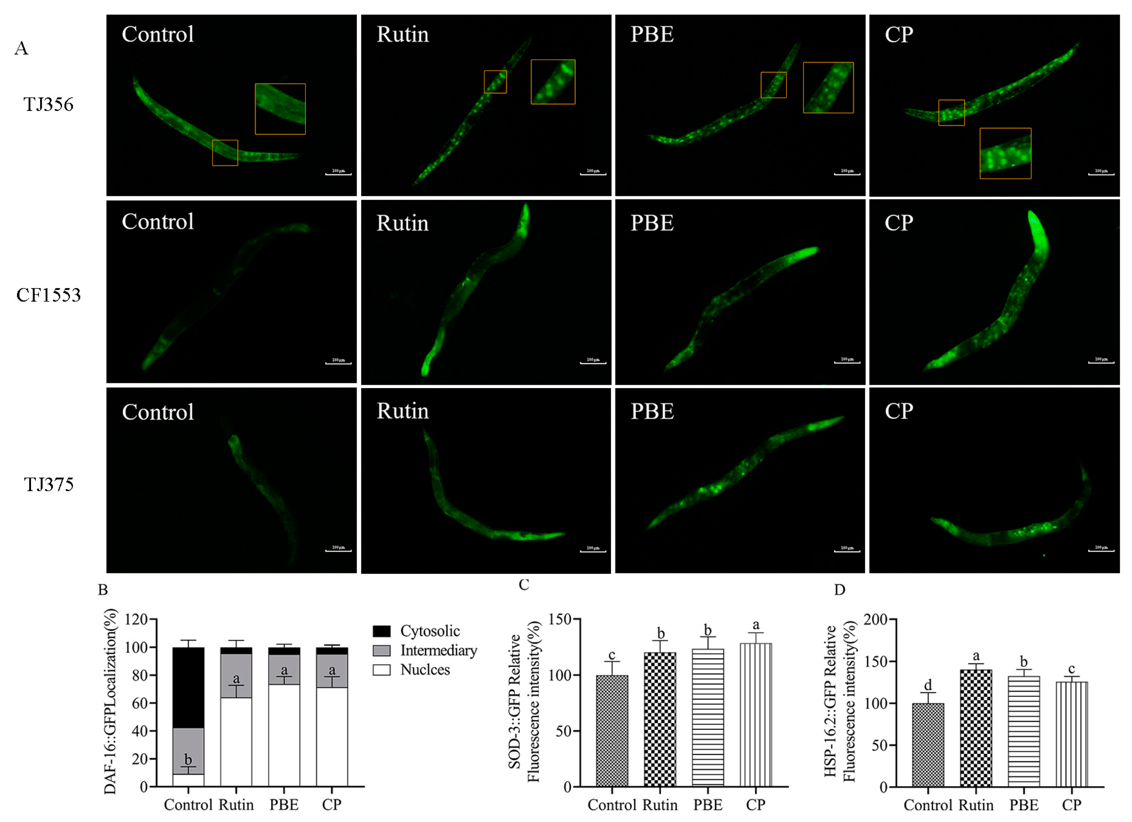 Antioxidants 13 00860 g008