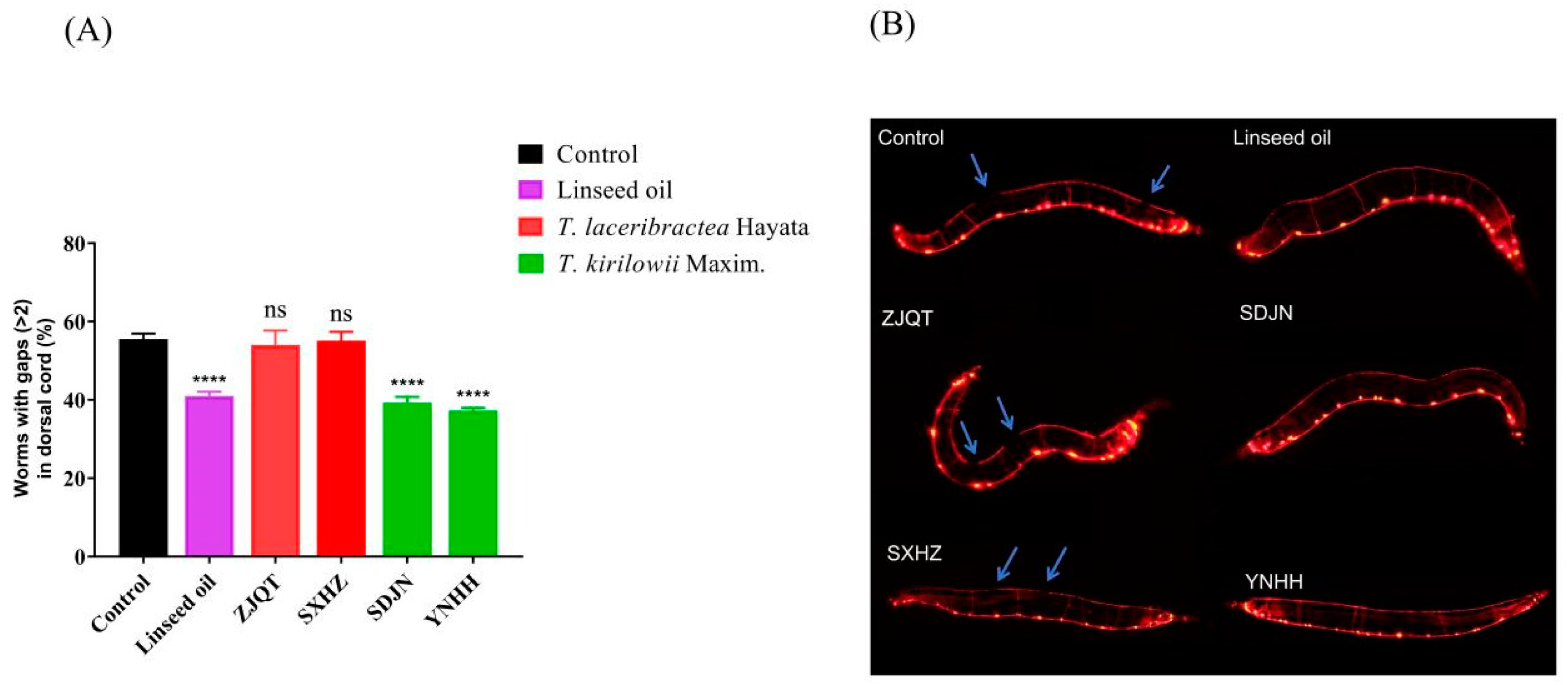 Antioxidants 13 00861 g005
