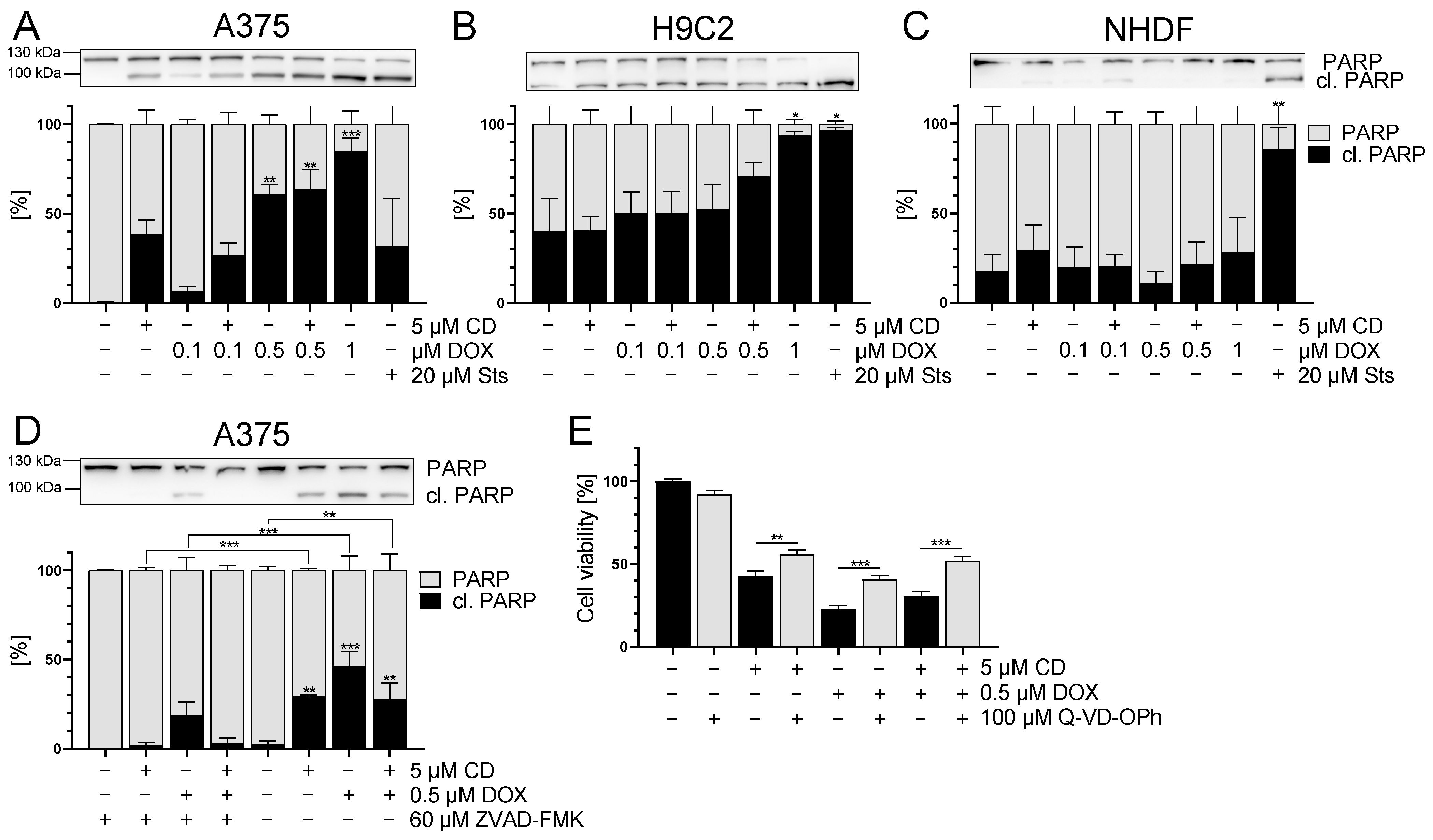 Antioxidants 13 00864 g010