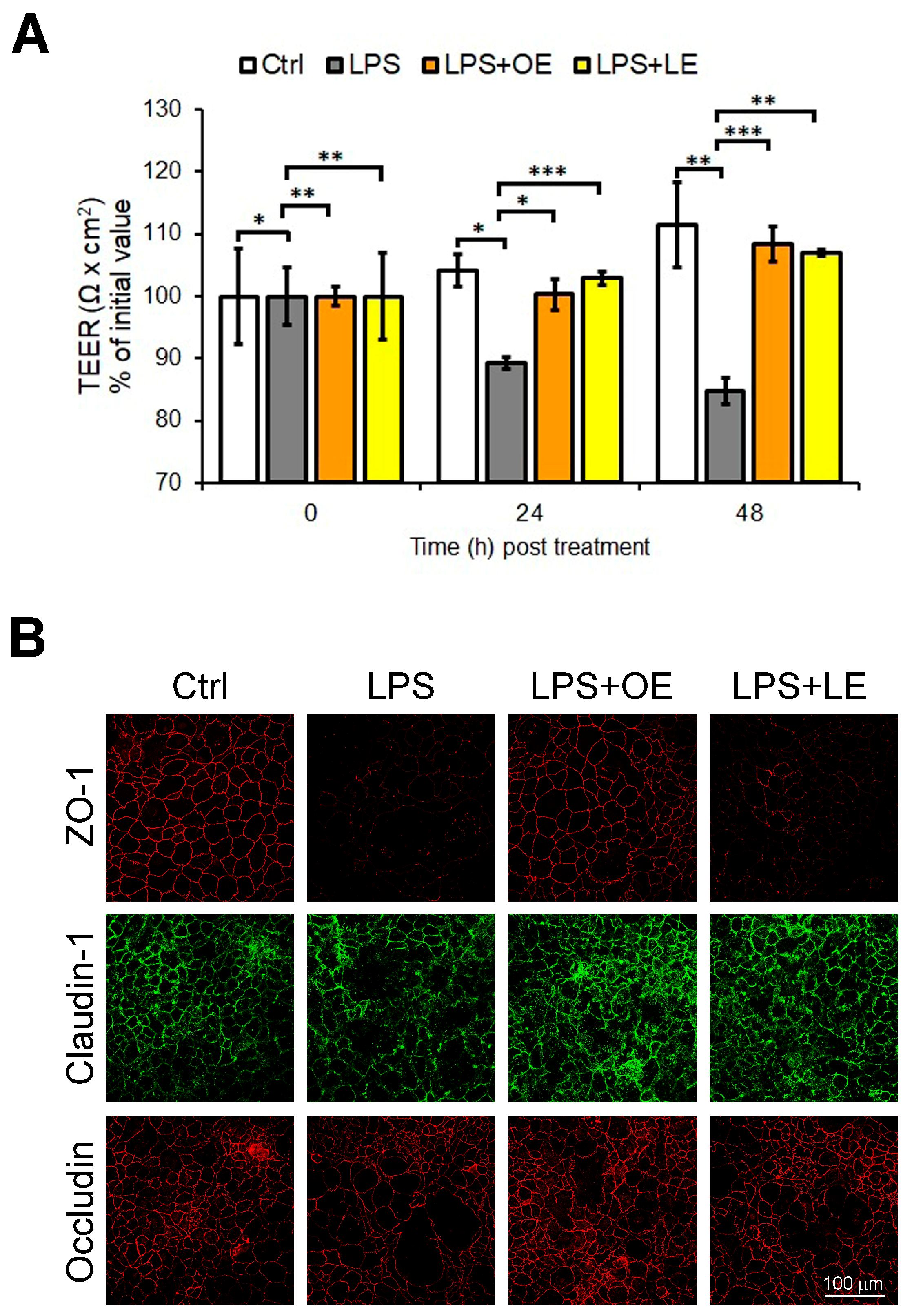 Antioxidants 13 00869 g006
