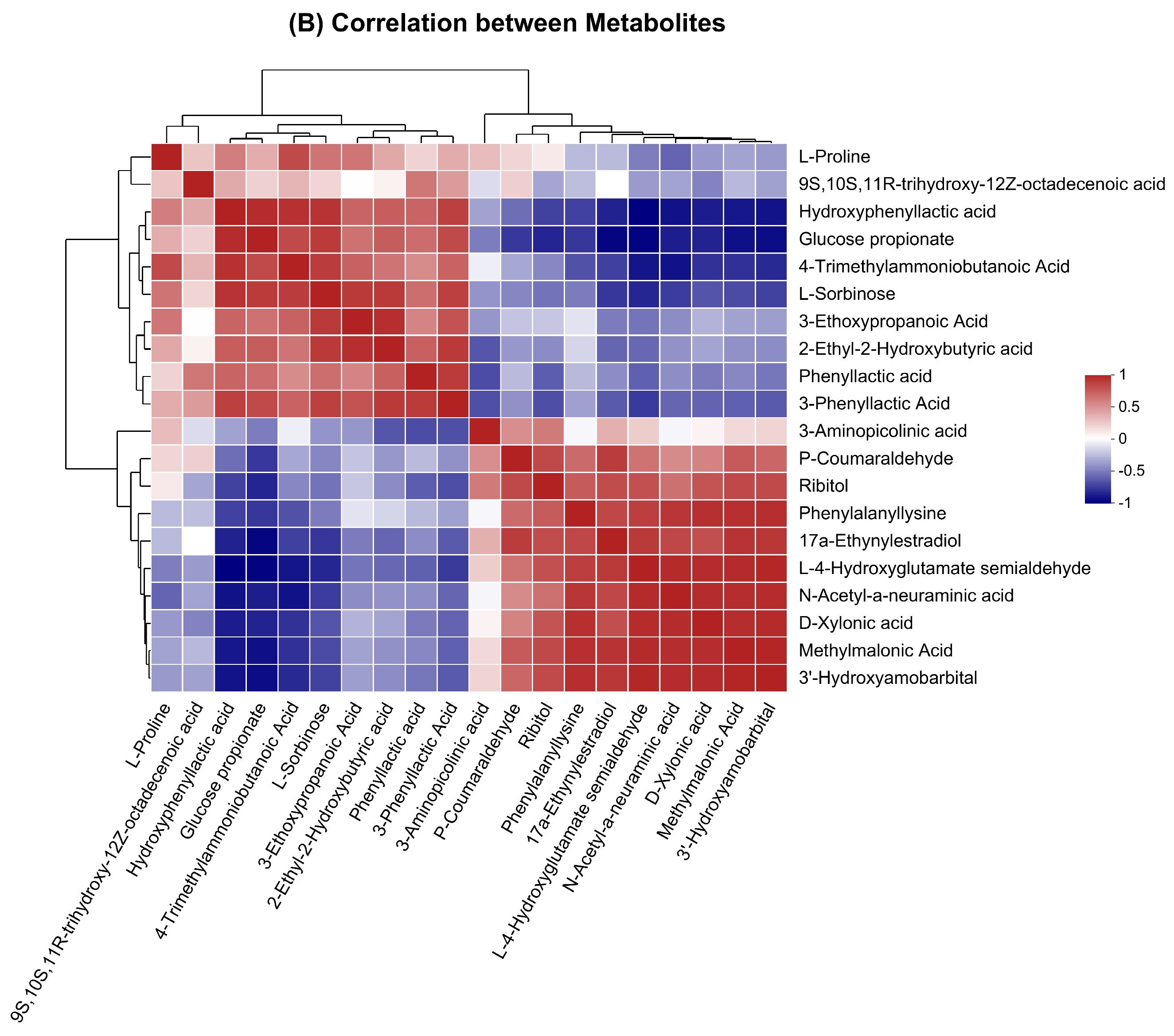 Antioxidants 13 00872 g003b