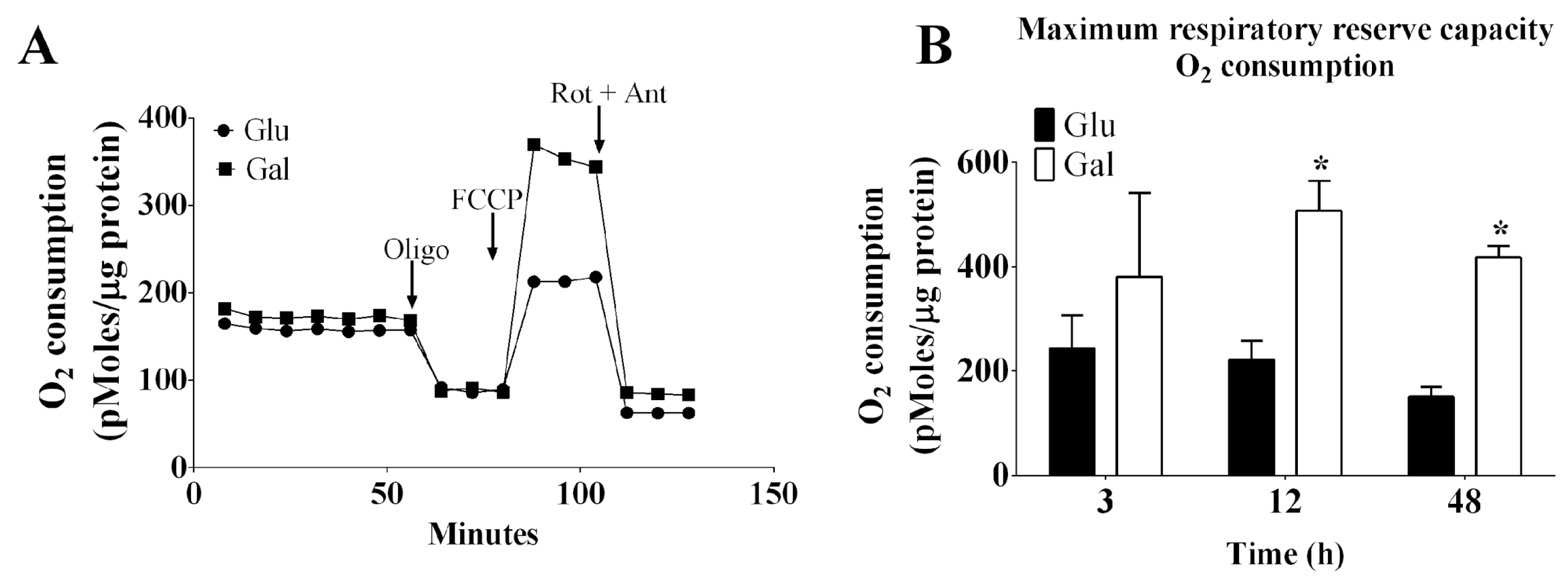 Antioxidants 13 00873 g001
