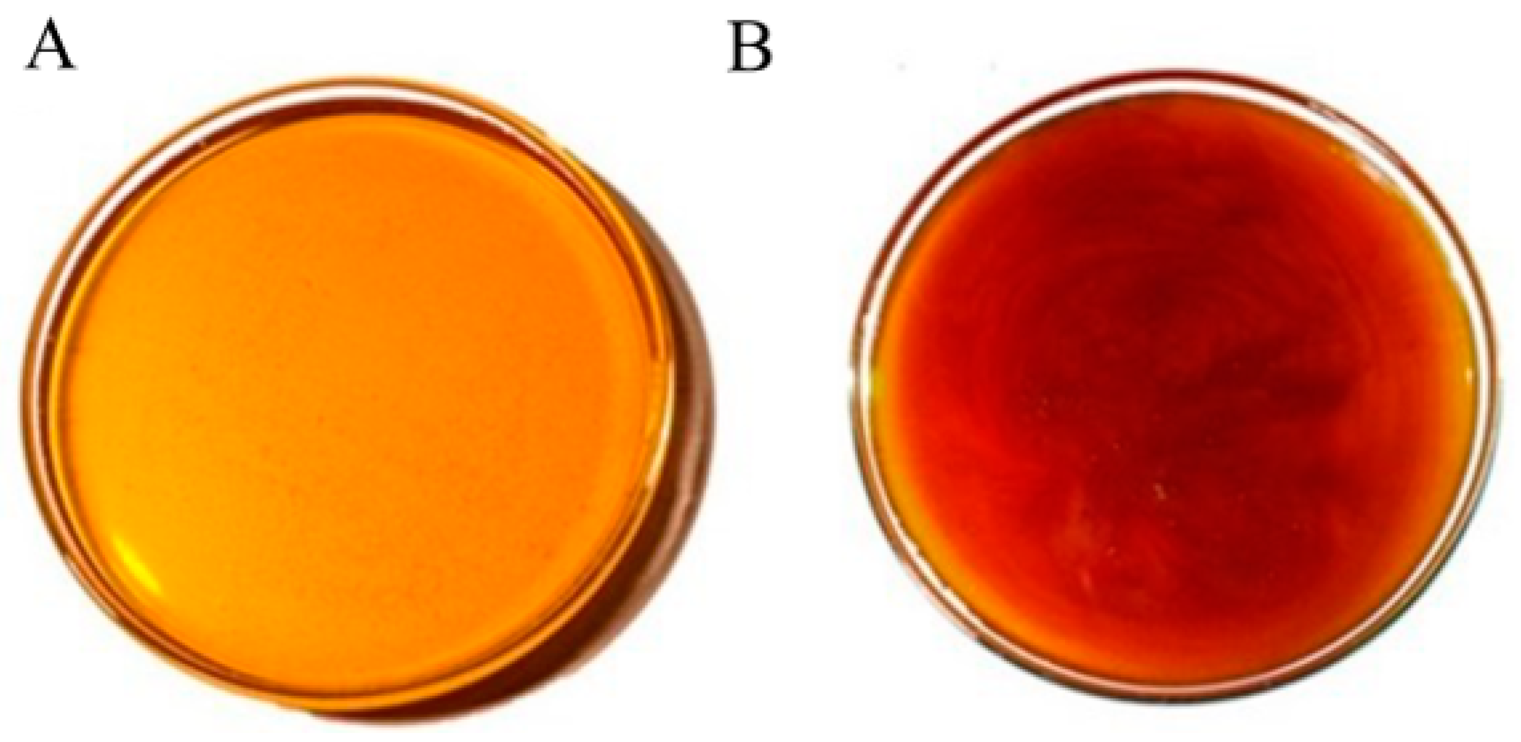 Antioxidants 13 00874 g002