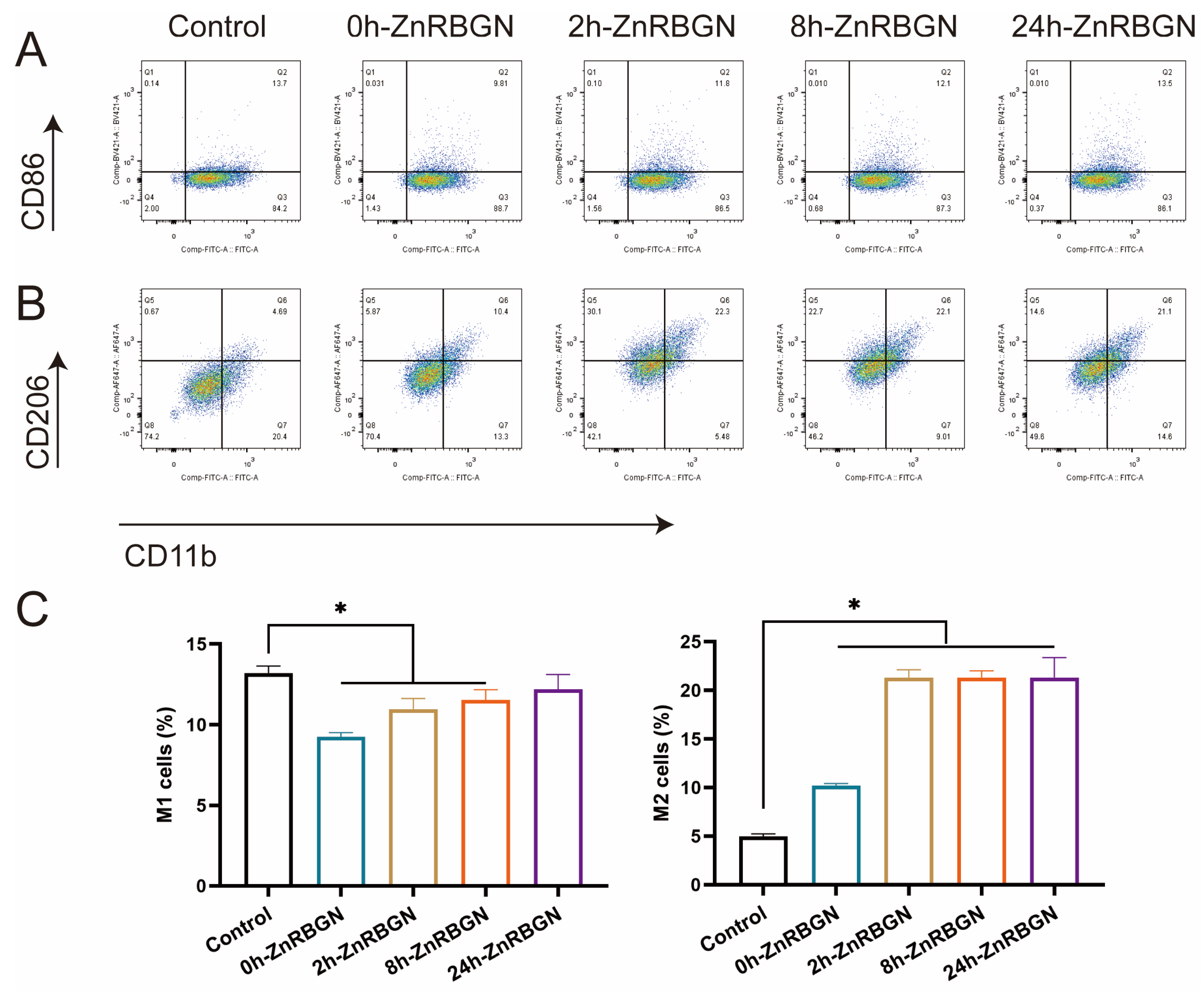 Antioxidants 13 00875 g007