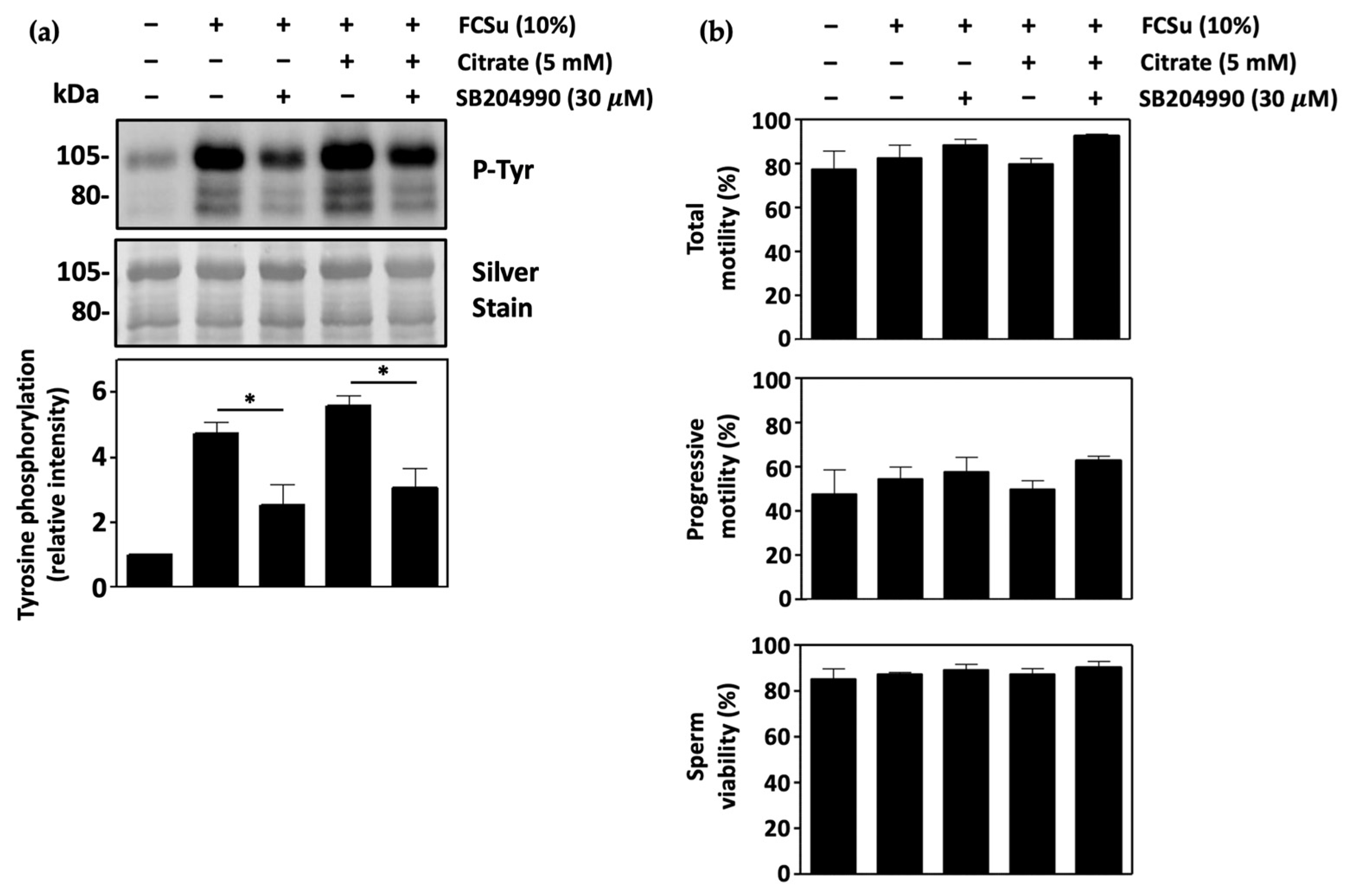Antioxidants 13 00885 g004