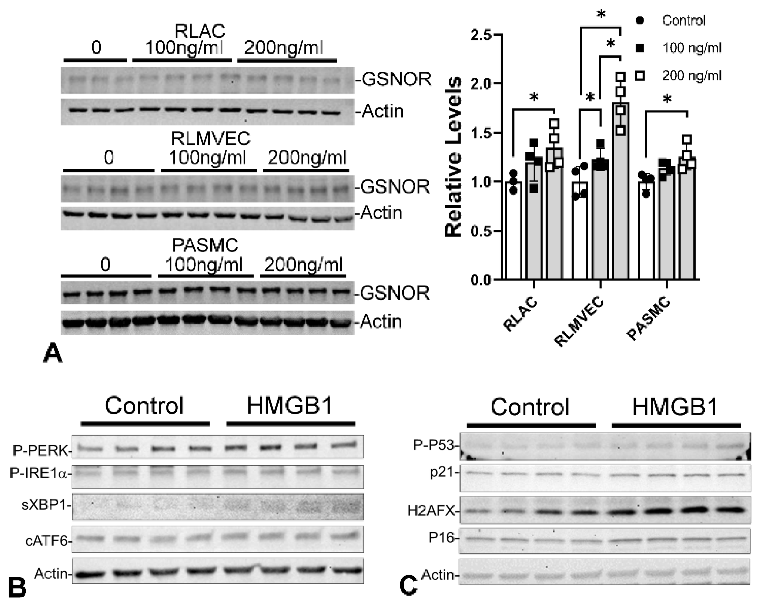 Antioxidants 13 00889 g011 Antioxidants 13 00889 g011