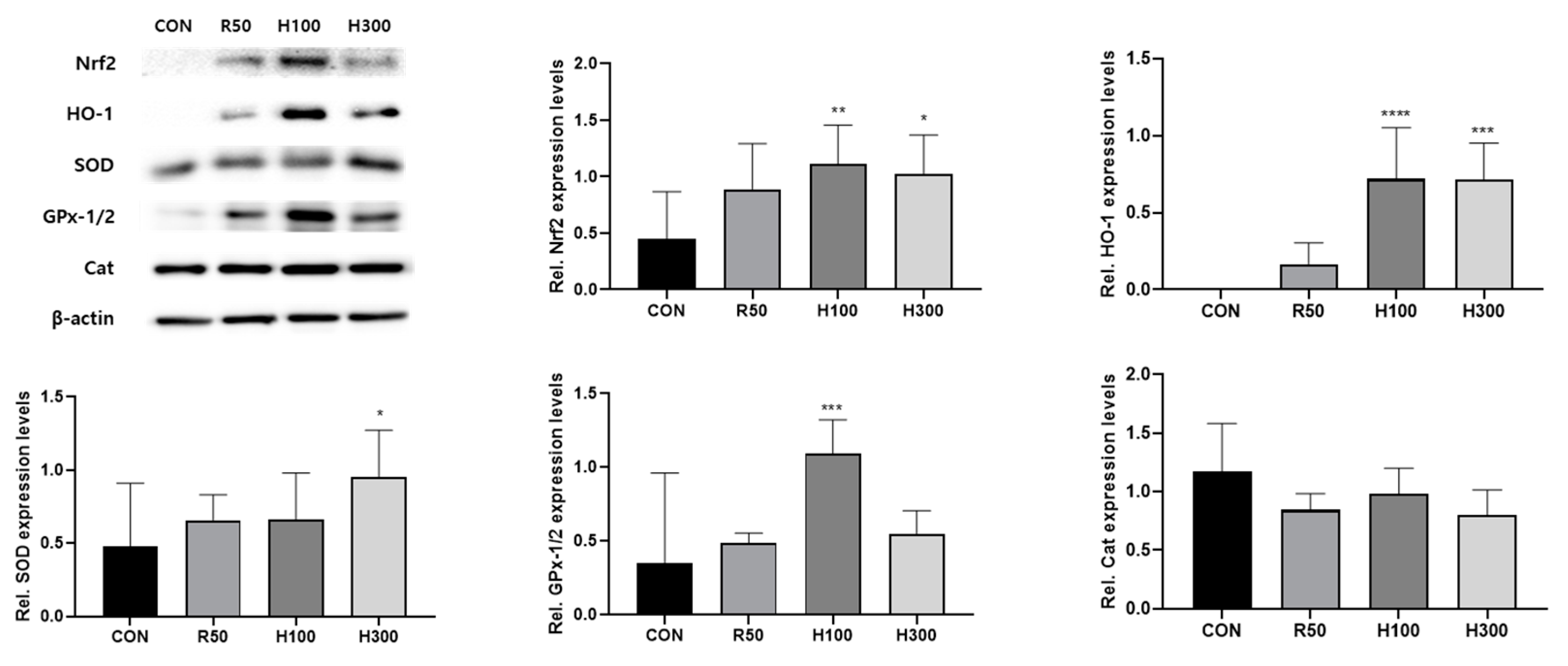 Antioxidants 13 00891 g006