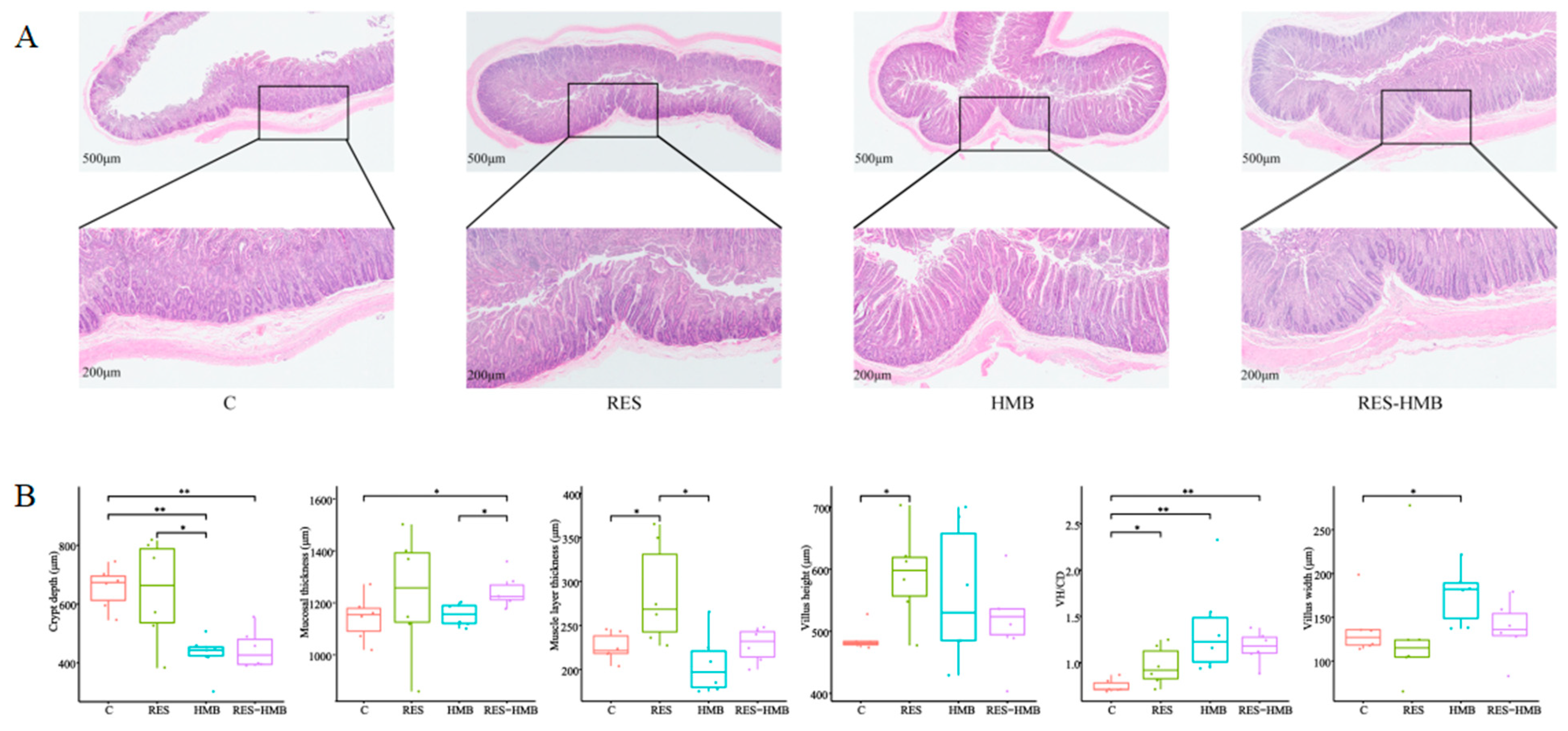 Antioxidants 13 00892 g002