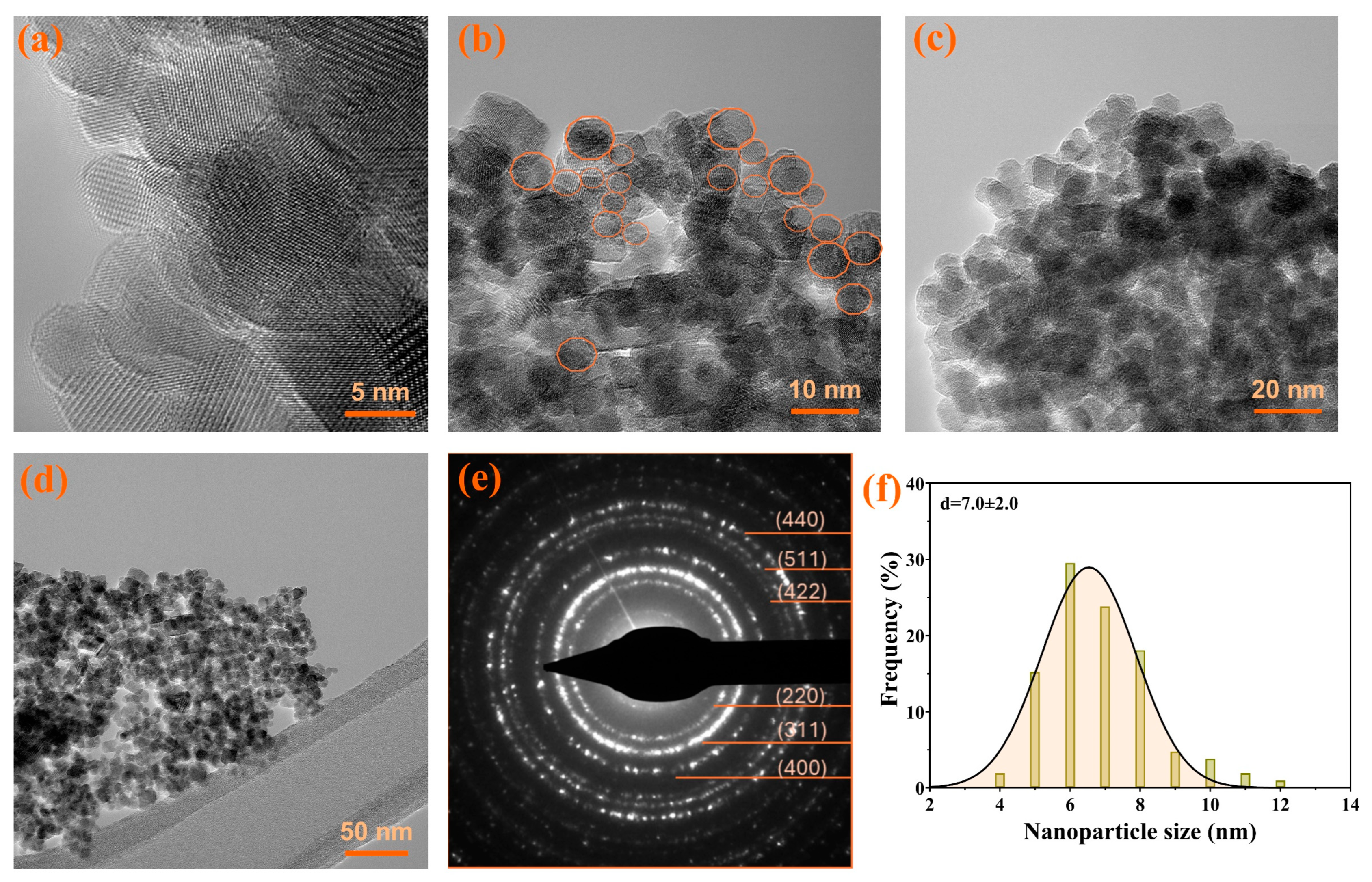 Antioxidants 13 00895 g002