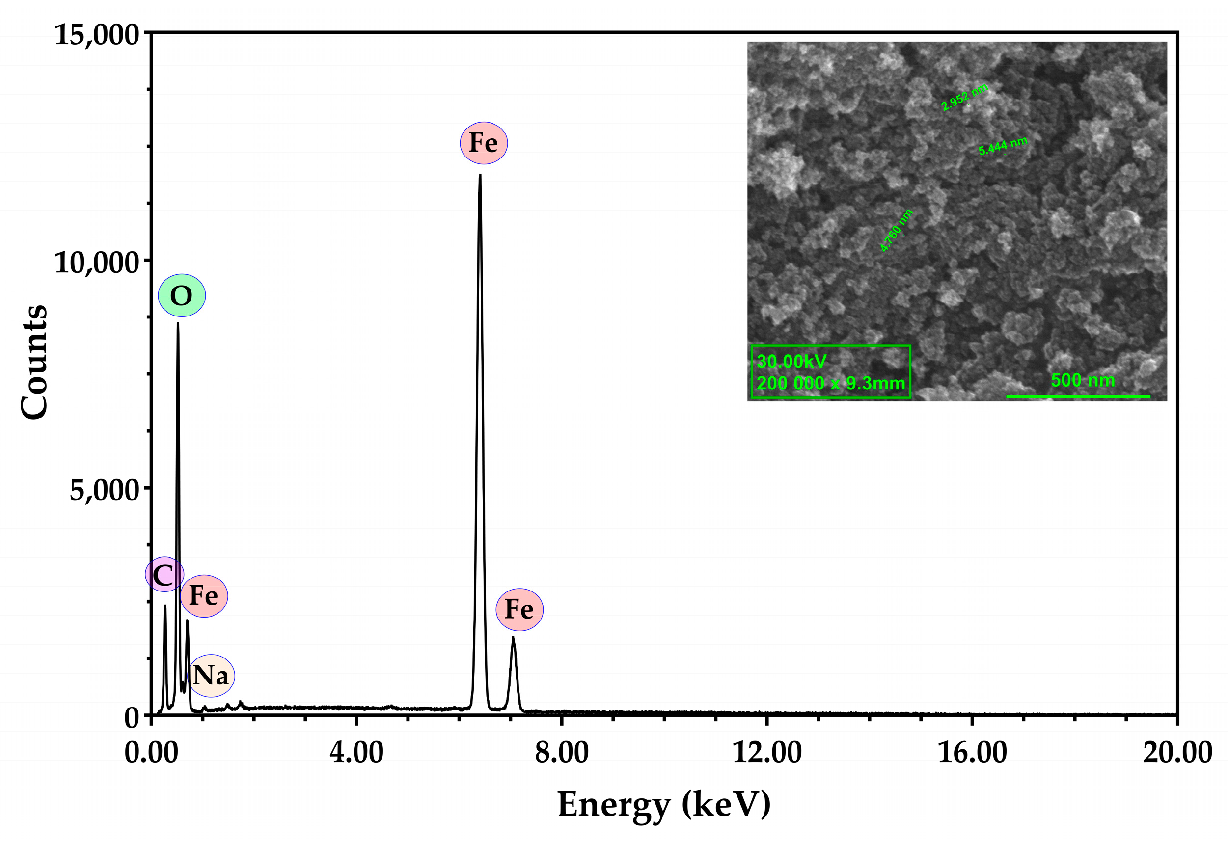 Antioxidants 13 00895 g003