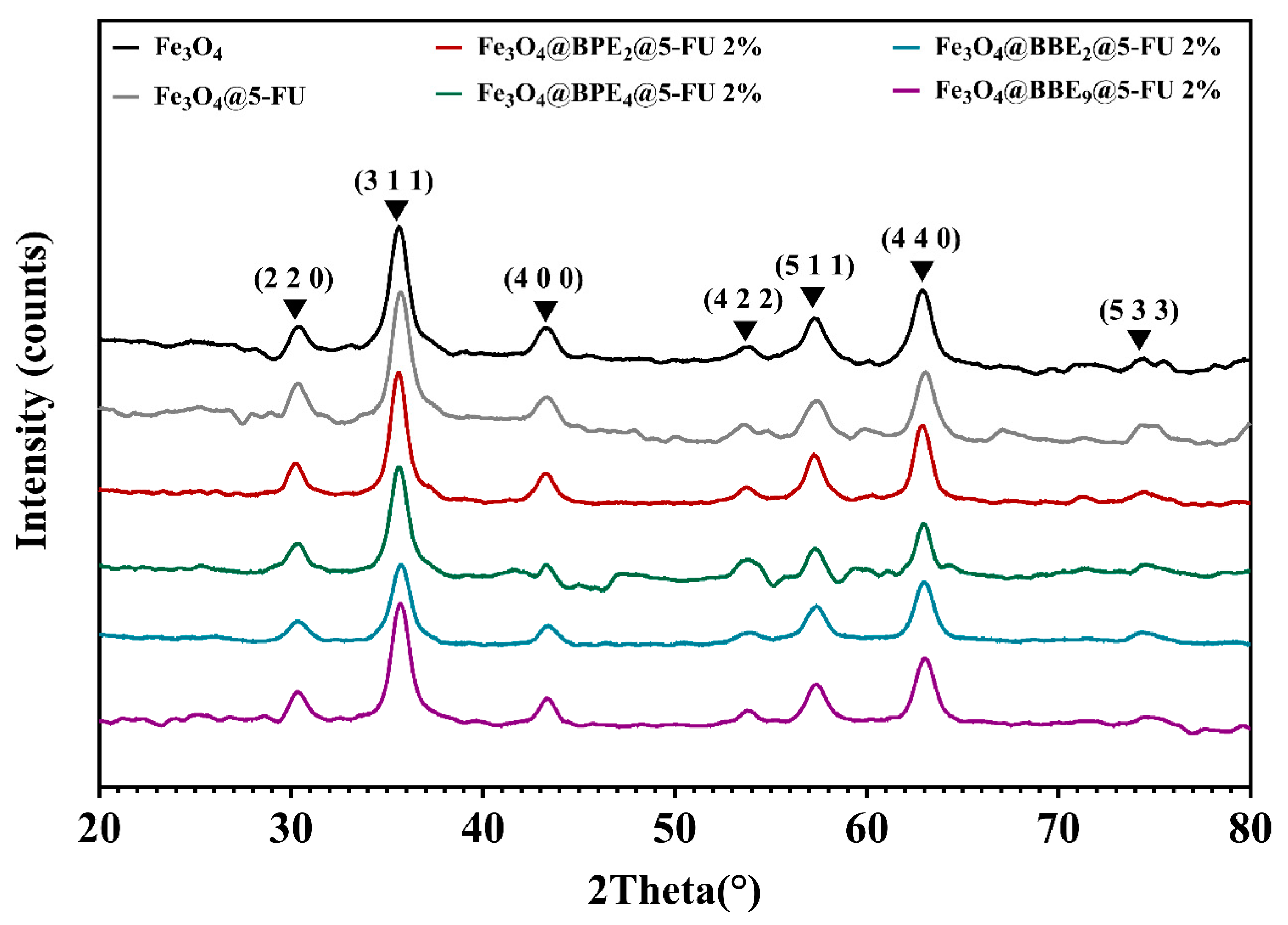 Antioxidants 13 00895 g005
