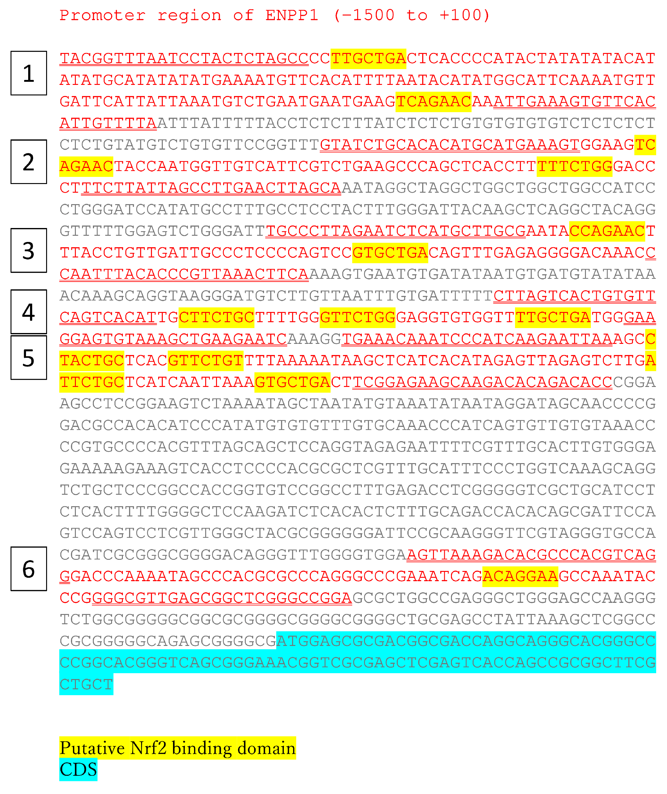 Antioxidants 13 00896 g002