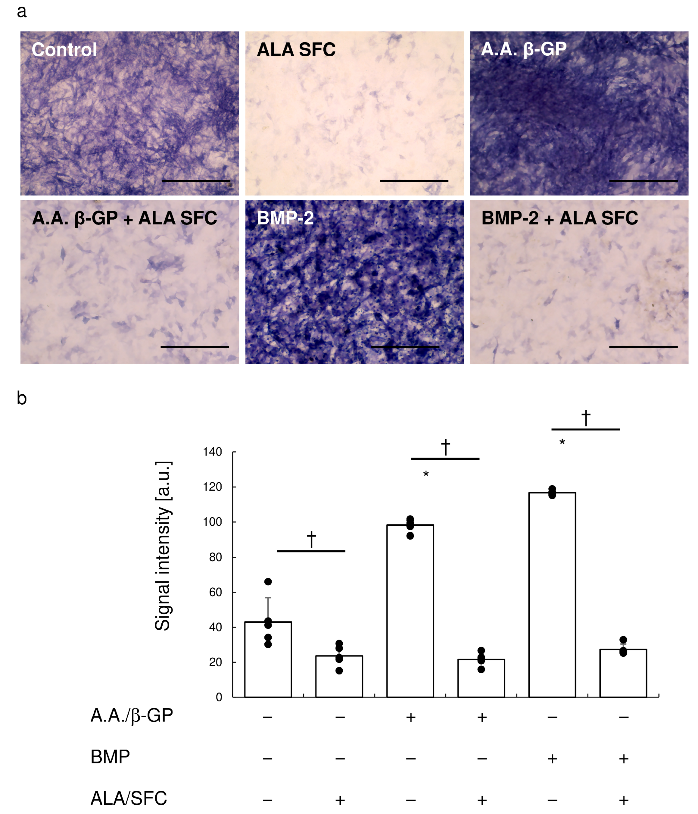 Antioxidants 13 00896 g004