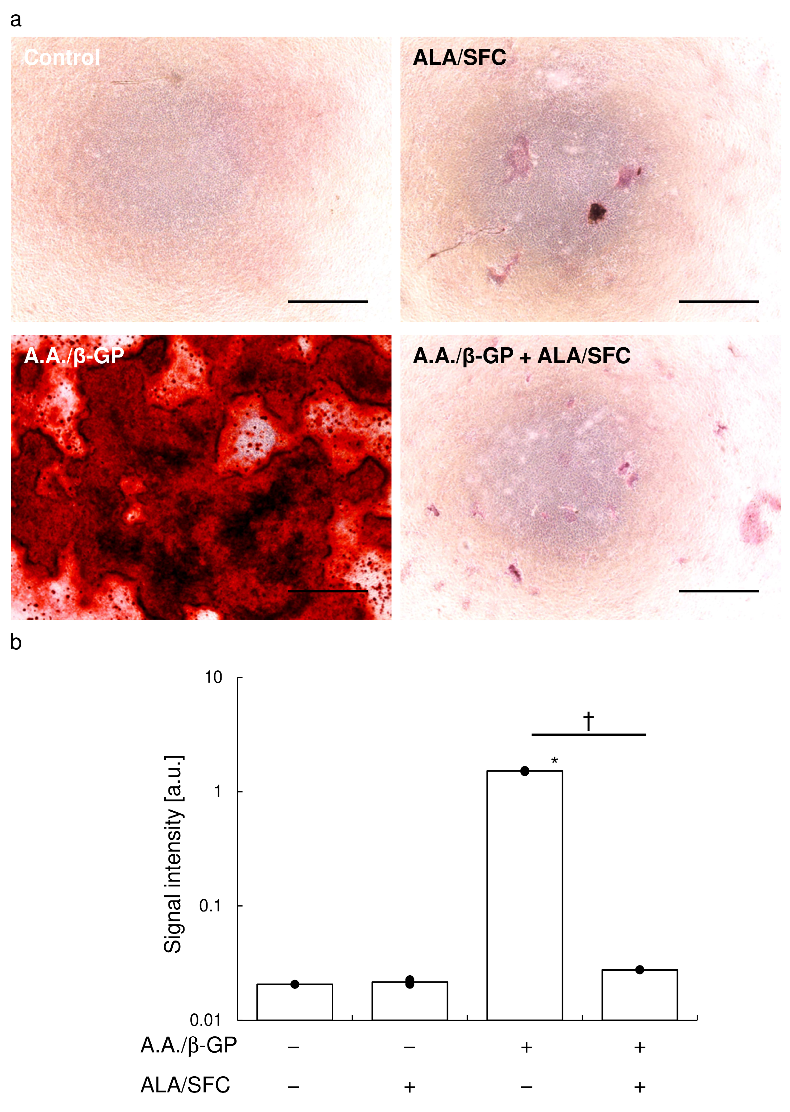 Antioxidants 13 00896 g005