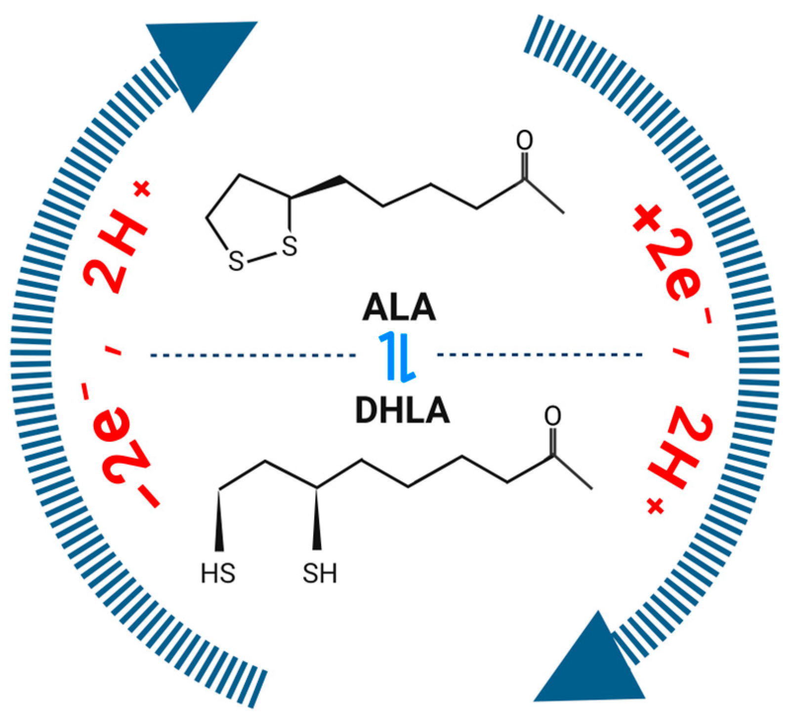 Antioxidants 13 00897 g001 Antioxidants 13 00897 g001