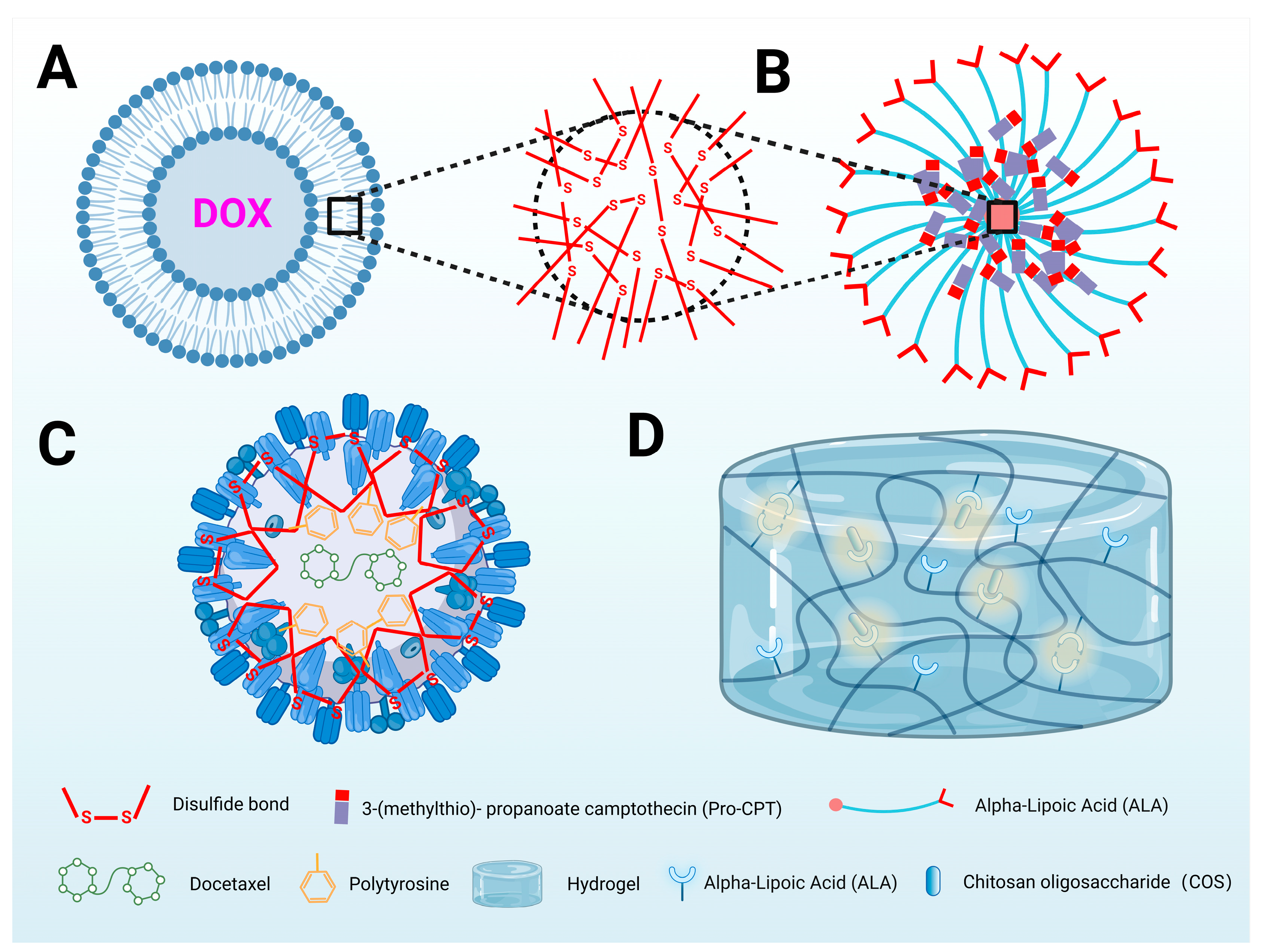 Antioxidants 13 00897 g005 Antioxidants 13 00897 g005