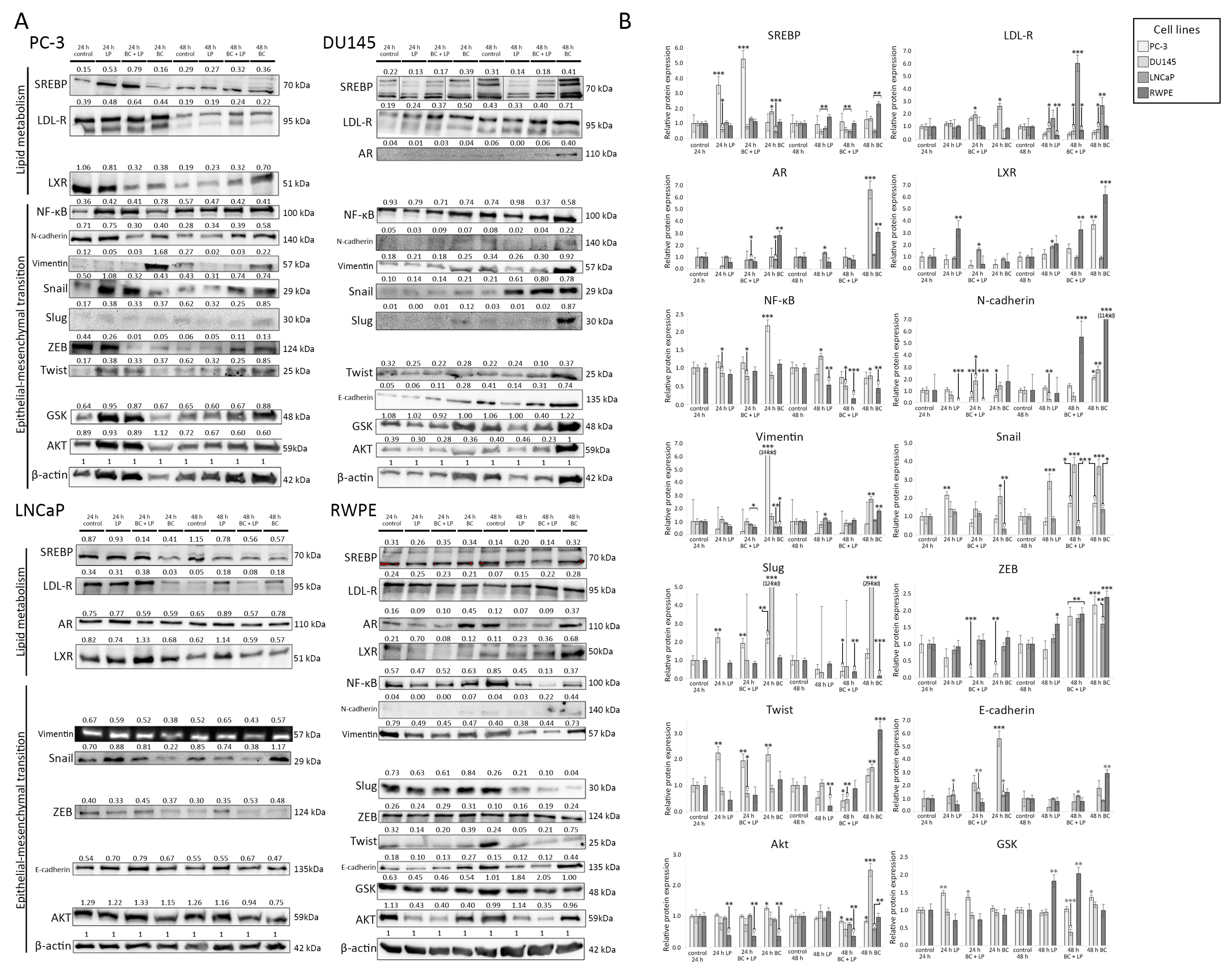 Antioxidants 13 00902 g007