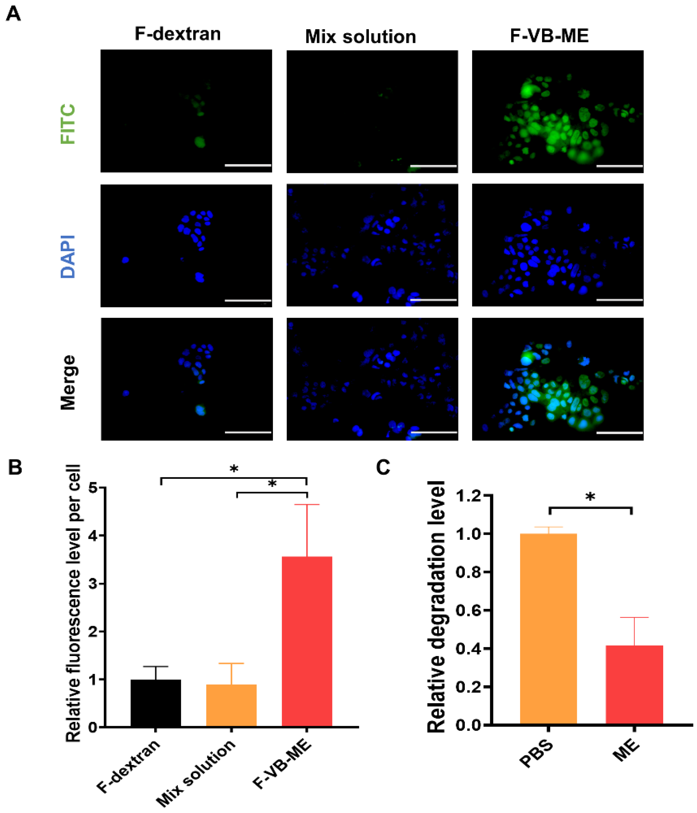 Antioxidants 13 00907 g005