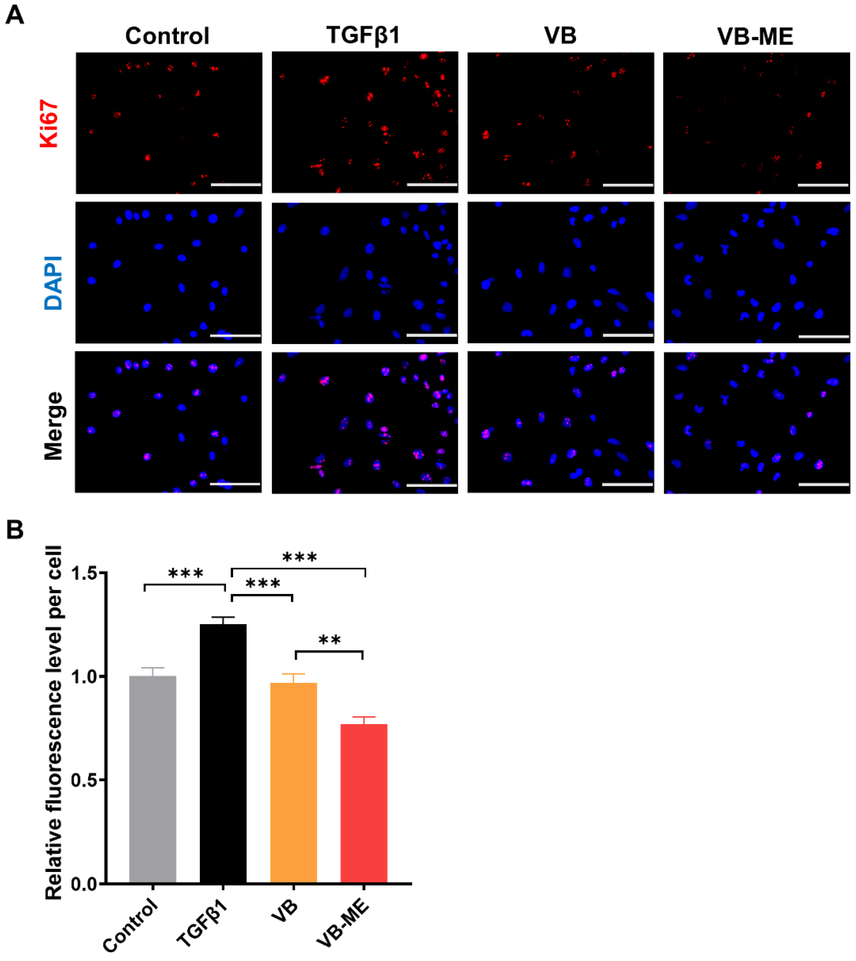 Antioxidants 13 00907 g007
