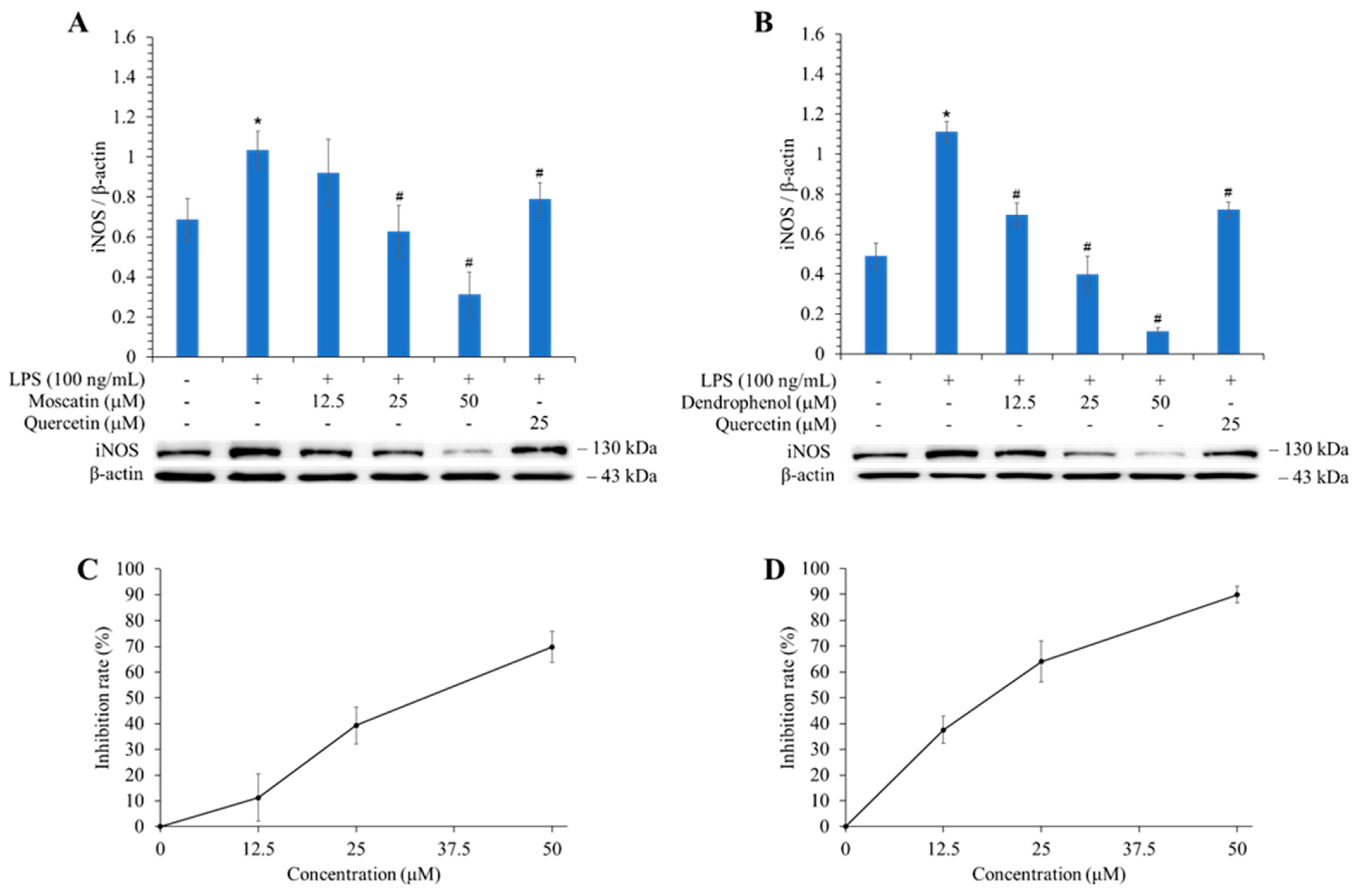 Antioxidants 13 00918 g003