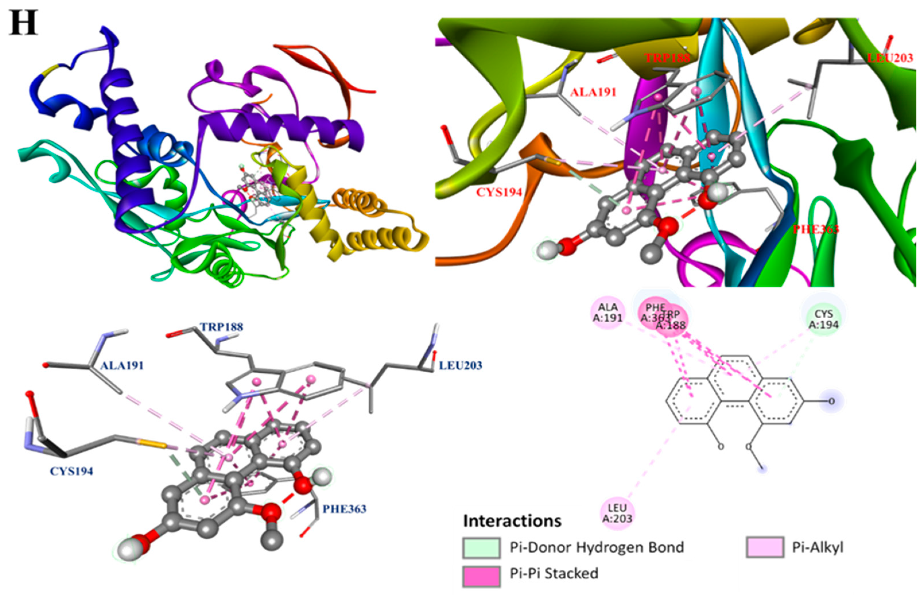Antioxidants 13 00918 g005e