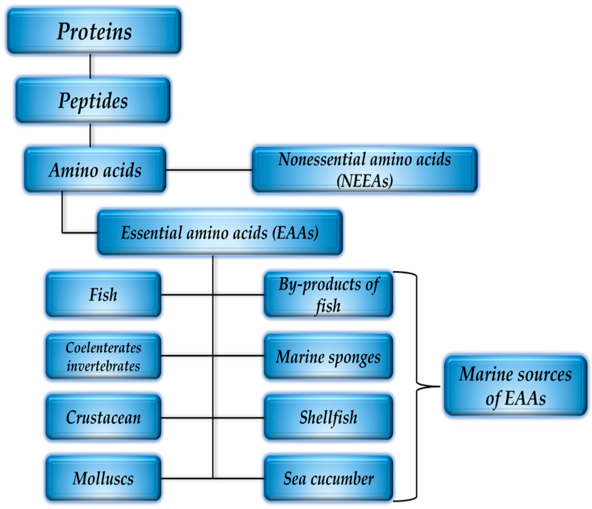 Antioxidants 13 00919 g005 Antioxidants 13 00919 g005