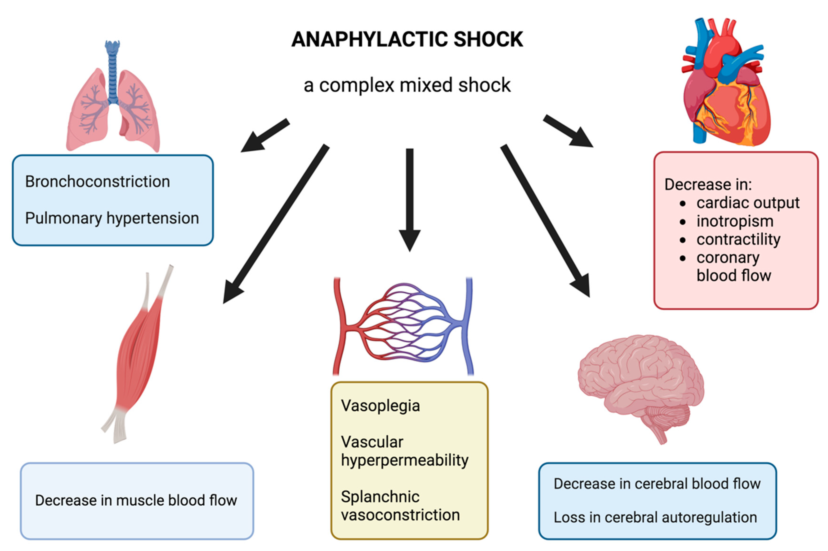 Antioxidants 13 00920 g001