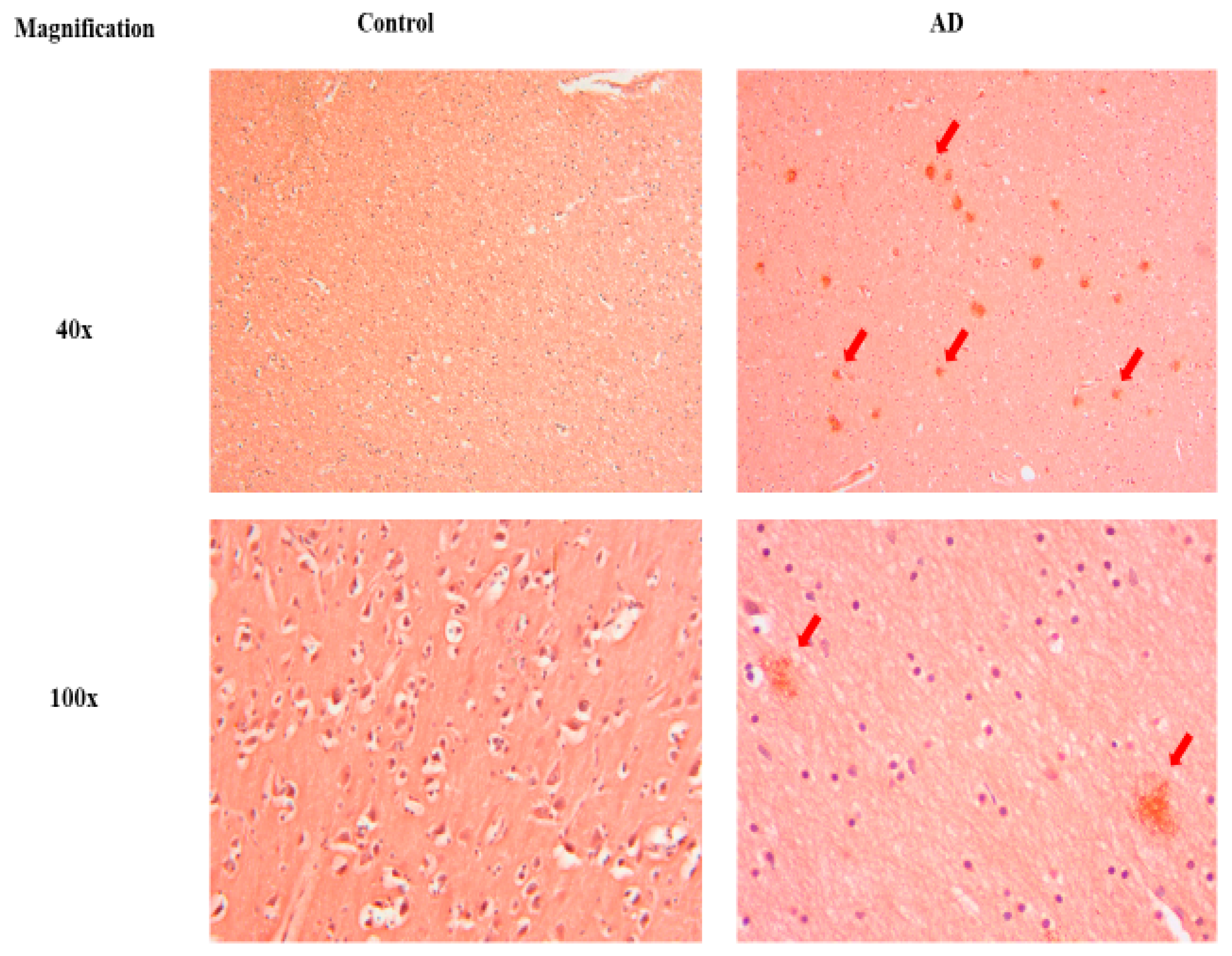 Antioxidants 13 00926 g003