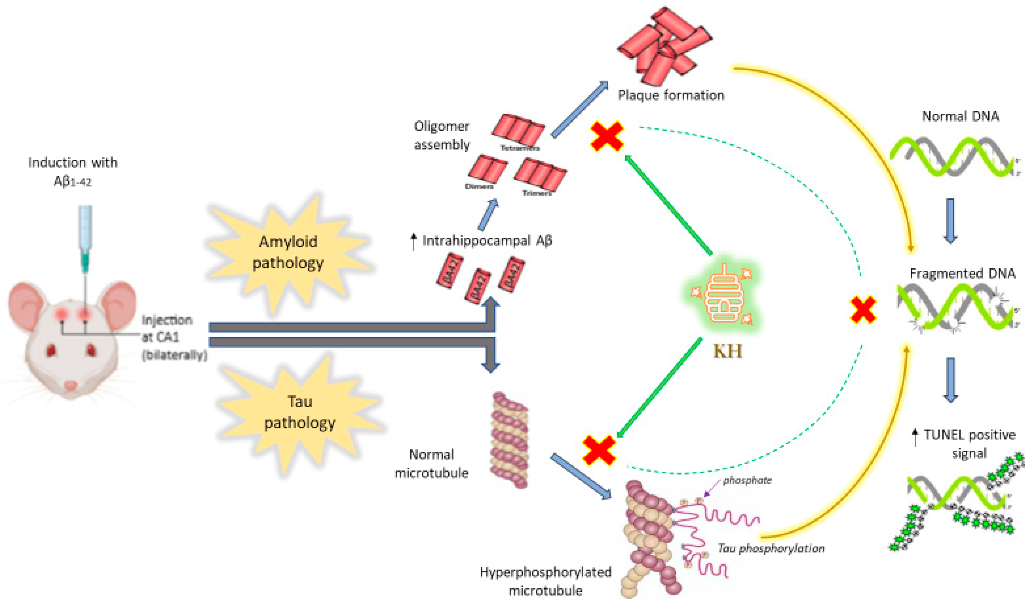 Antioxidants 13 00926 g008